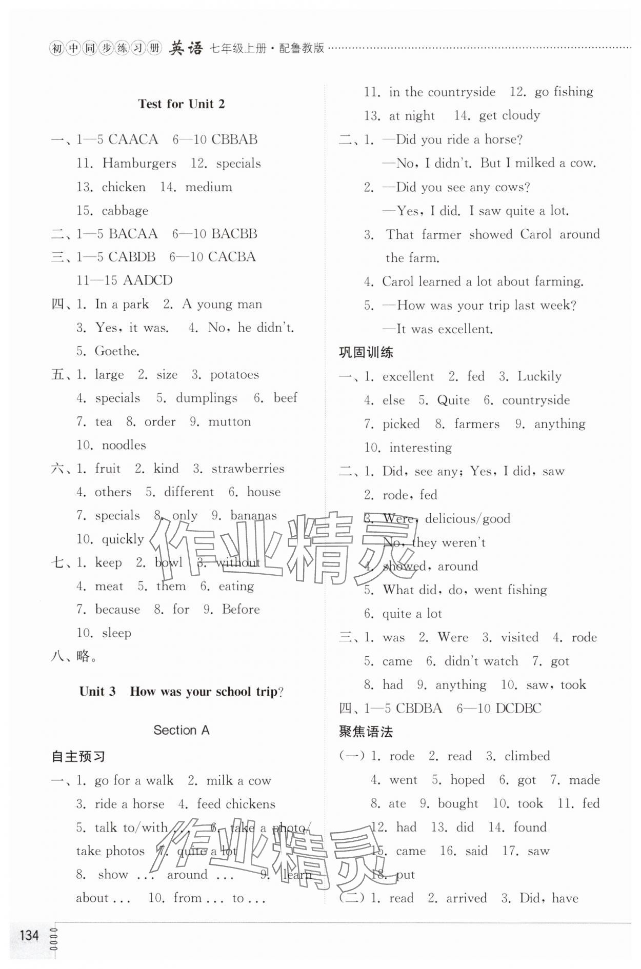 2024年同步練習(xí)冊(cè)山東教育出版社七年級(jí)英語上冊(cè)魯教版54制 第4頁