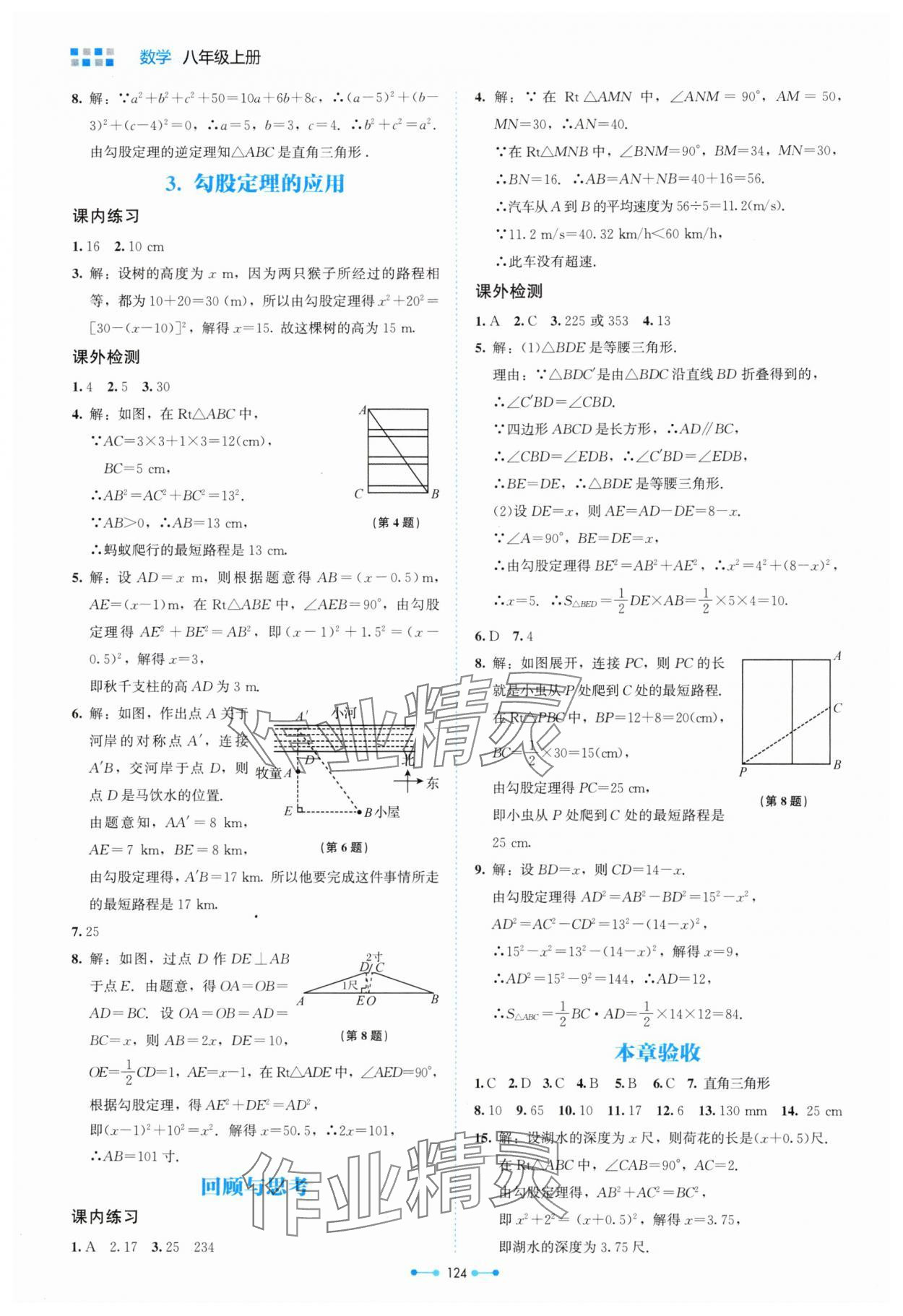 2024年伴你学北京师范大学出版社八年级数学上册北师大版 第2页