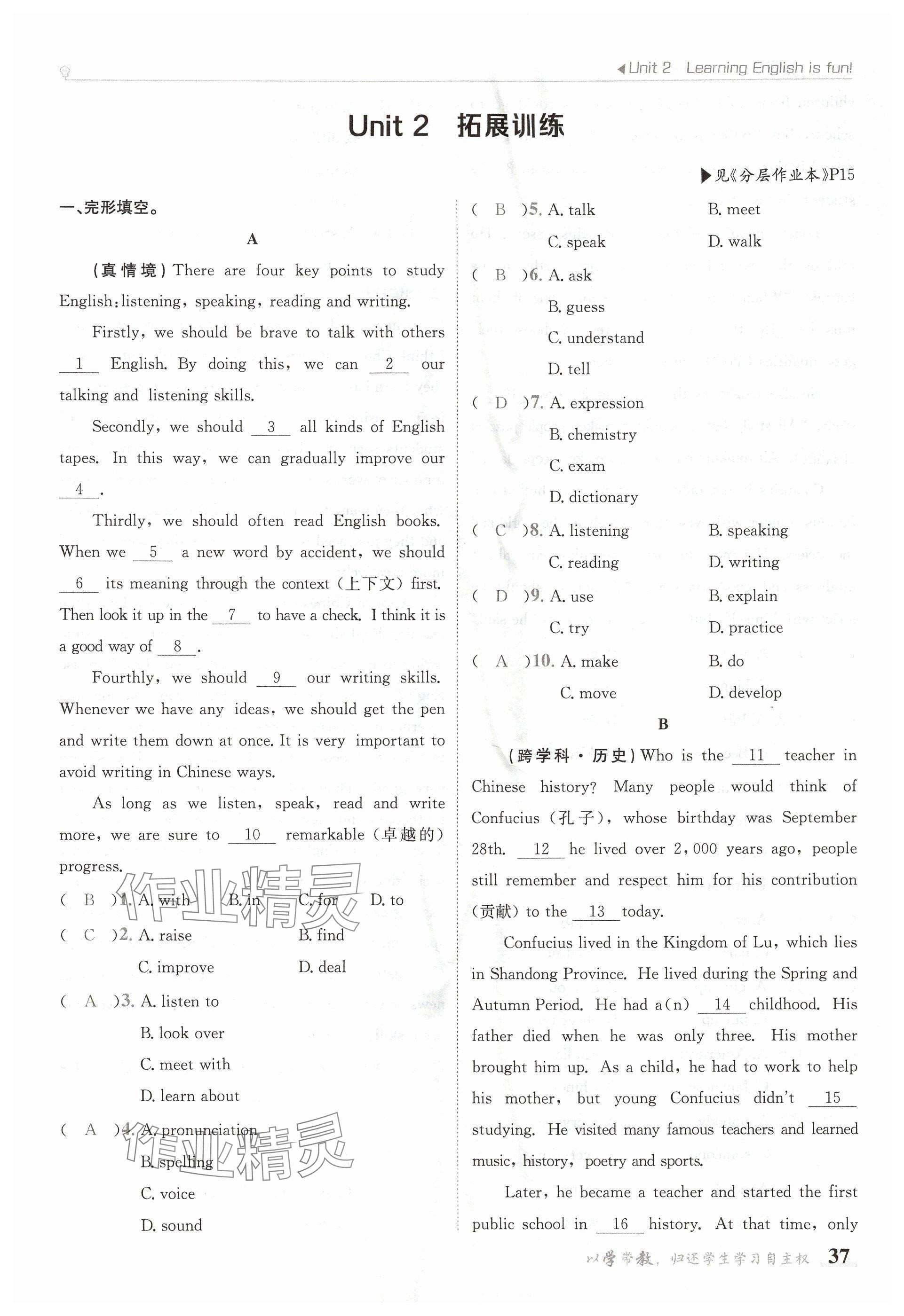 2024年金太陽導學案七年級英語上冊冀教版 參考答案第37頁