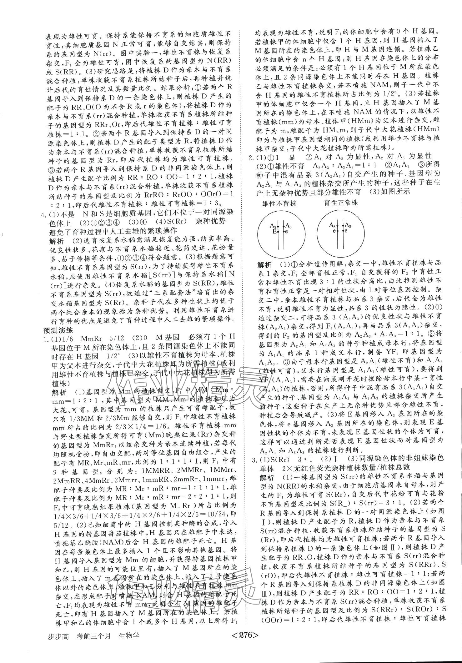 2024年步步高考前三个月二轮高中生物 第13页