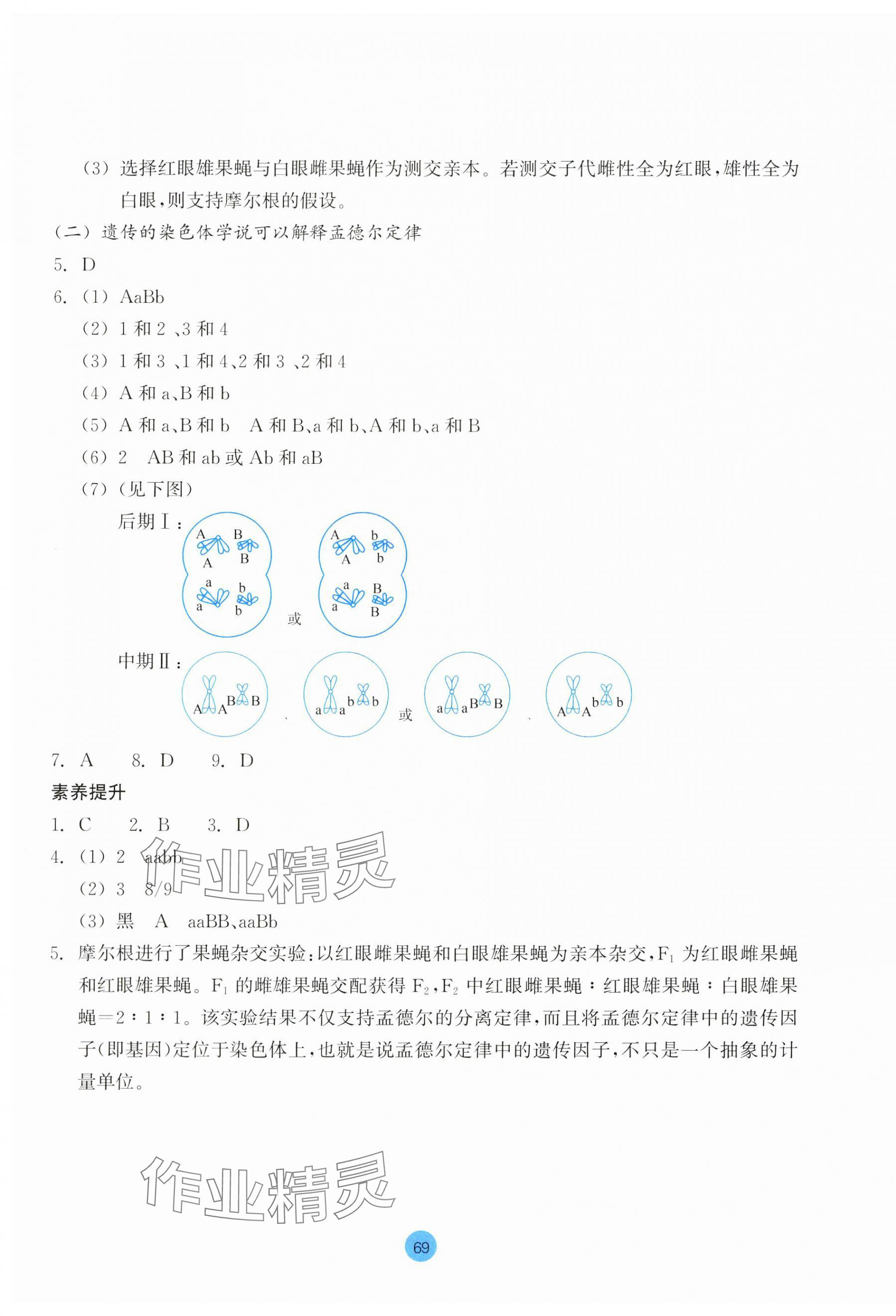 2024年作業(yè)本浙江教育出版社高中生物必修2浙科版 第5頁