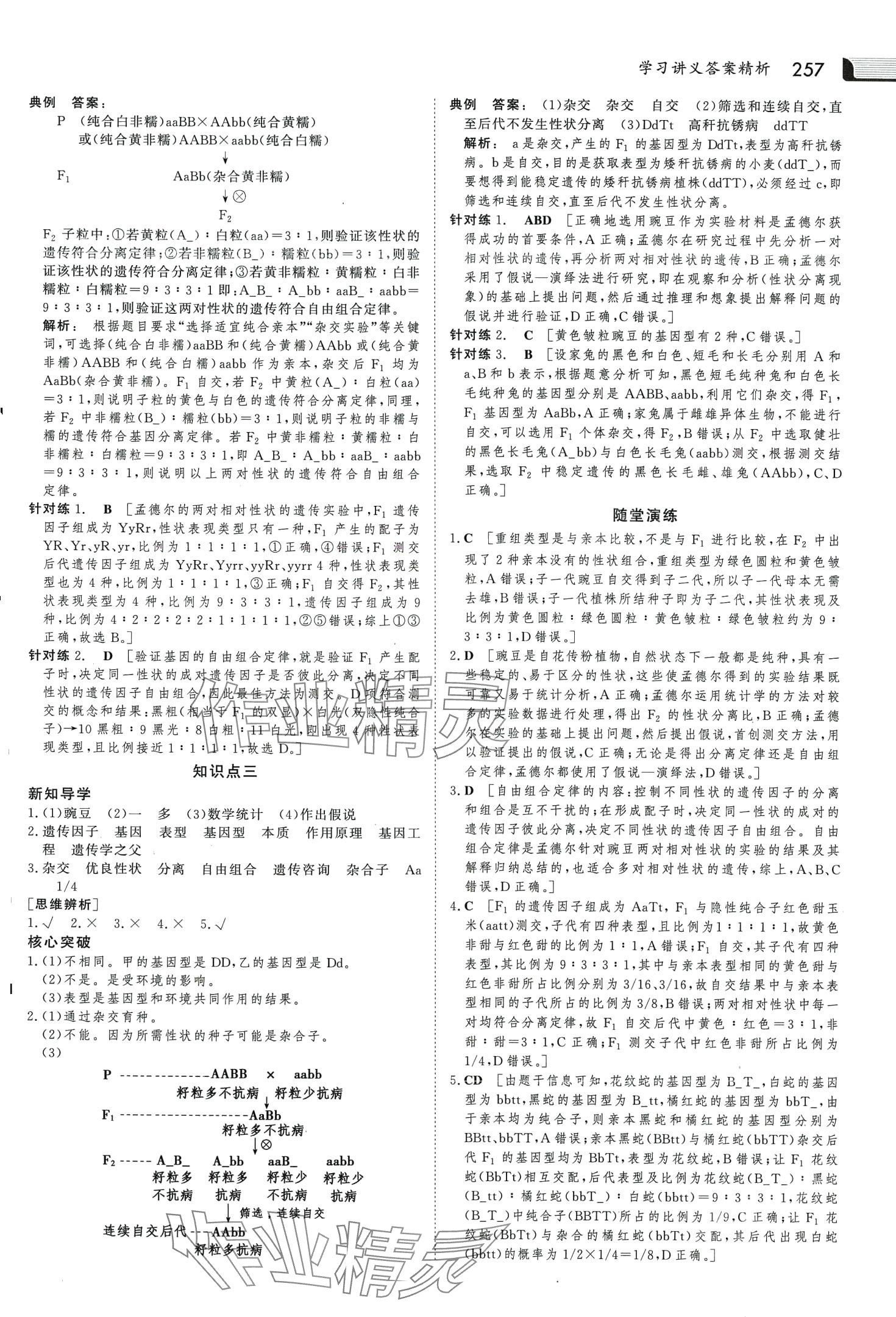 2024年金版新学案高中生物必修2人教版 第4页