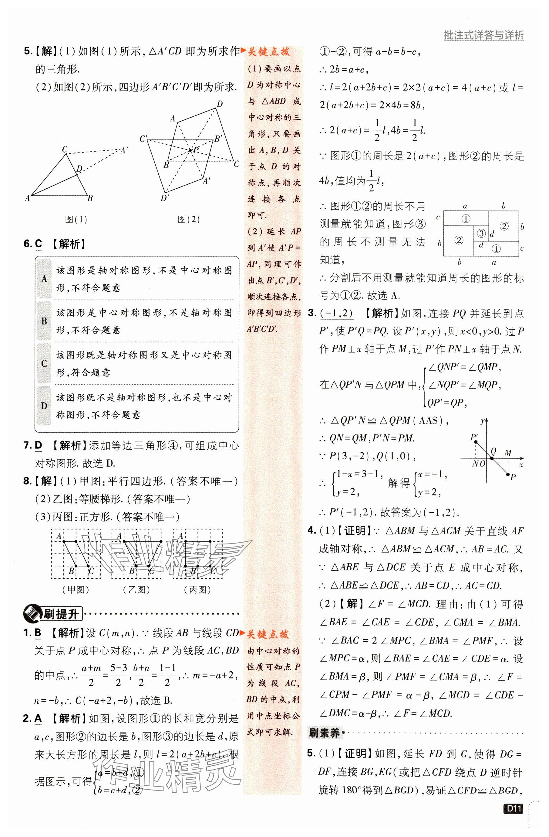 2024年初中必刷題八年級數(shù)學(xué)下冊蘇科版 參考答案第11頁