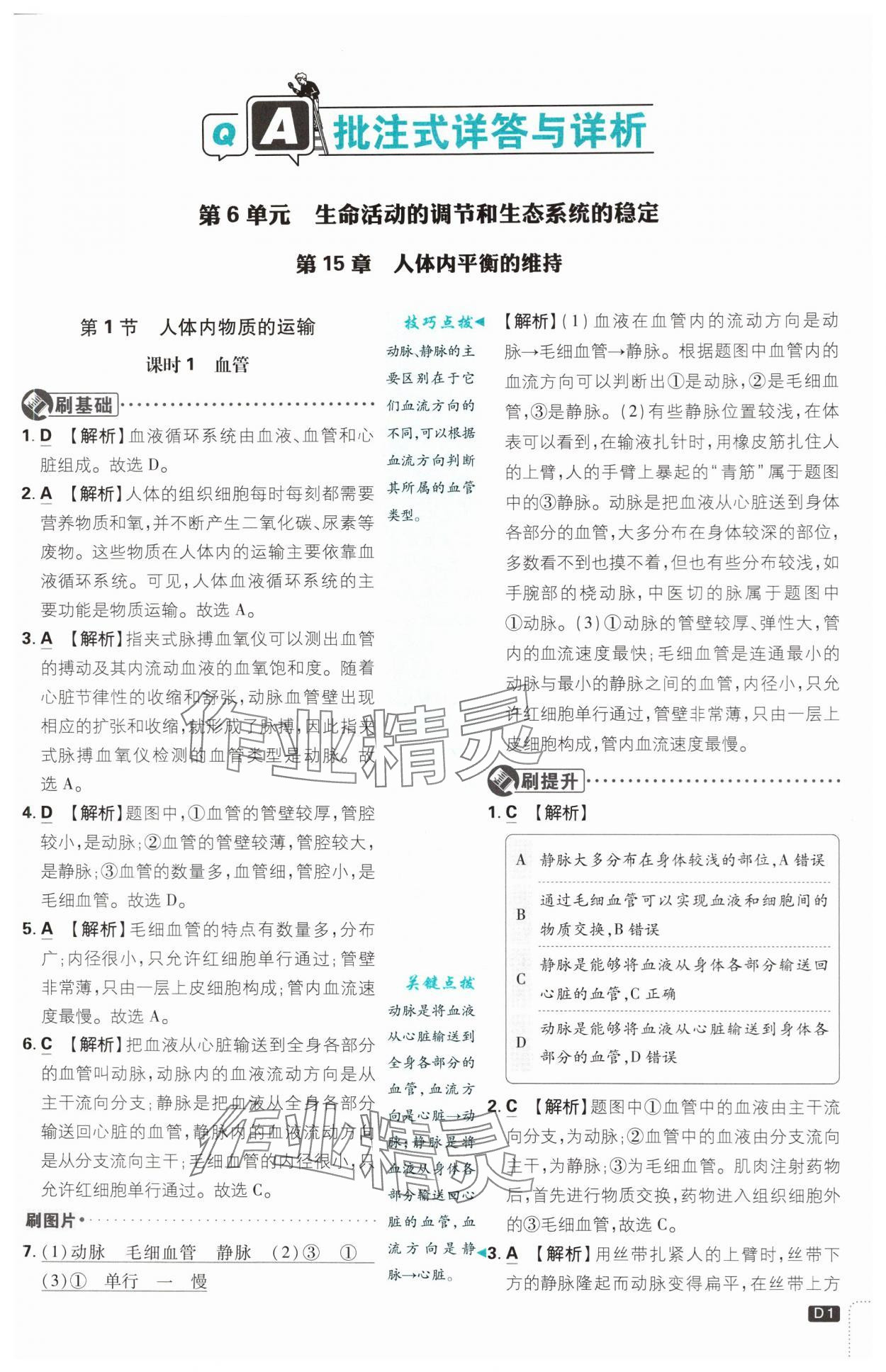 2024年初中必刷題八年級(jí)生物上冊(cè)蘇教版 第1頁(yè)