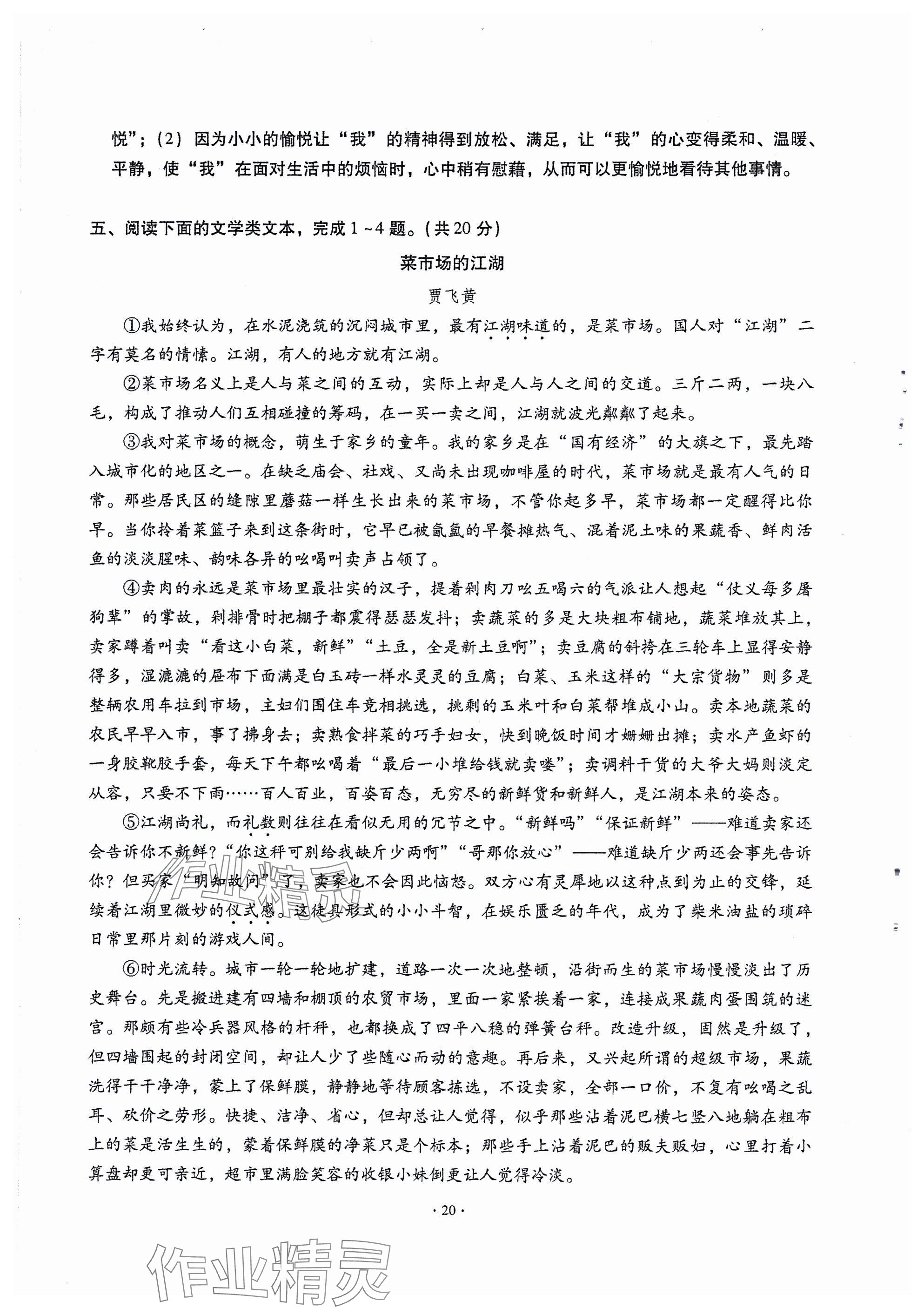 2024年全息大语文满分专题练九年级上册武汉专版 参考答案第20页