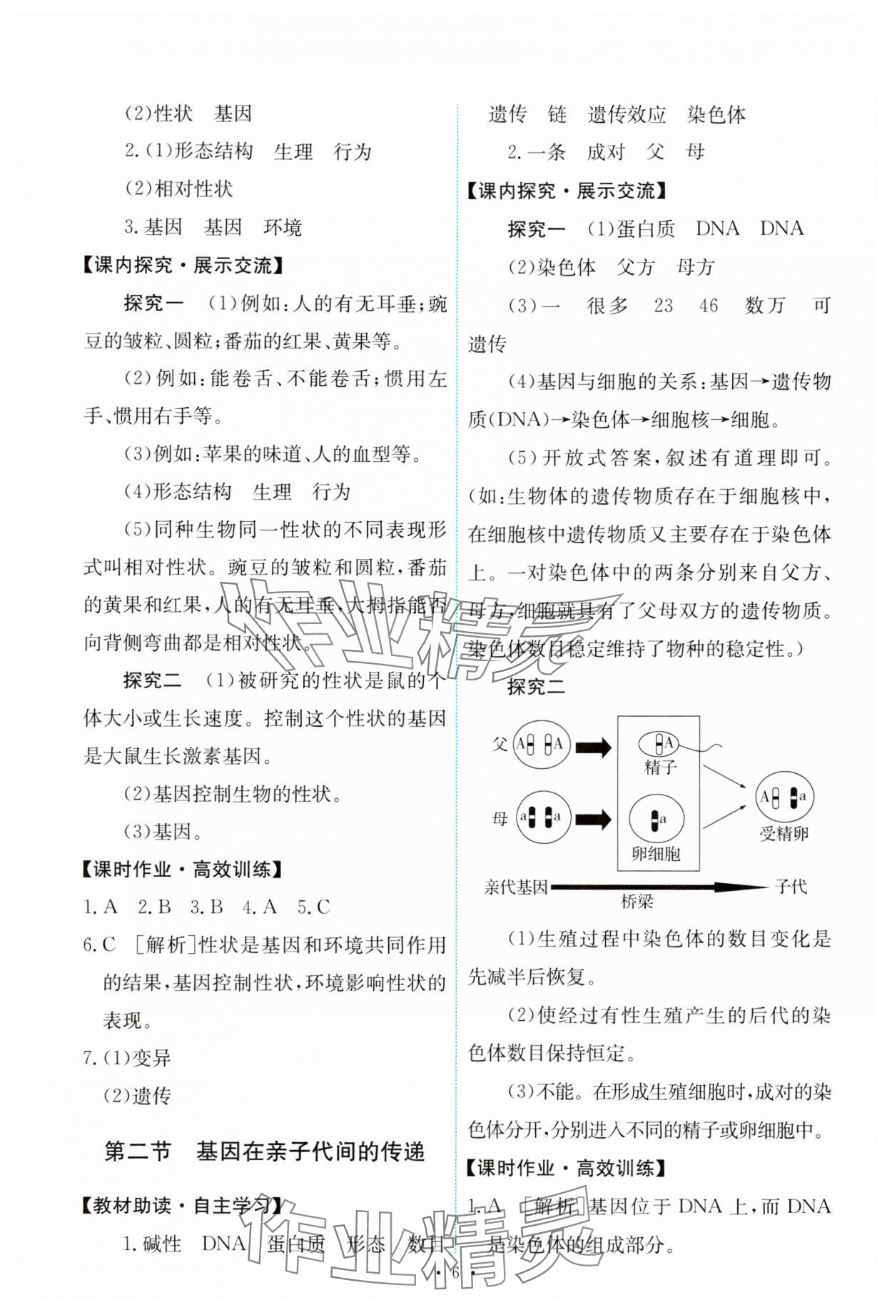 2024年能力培养与测试八年级生物下册人教版 第6页