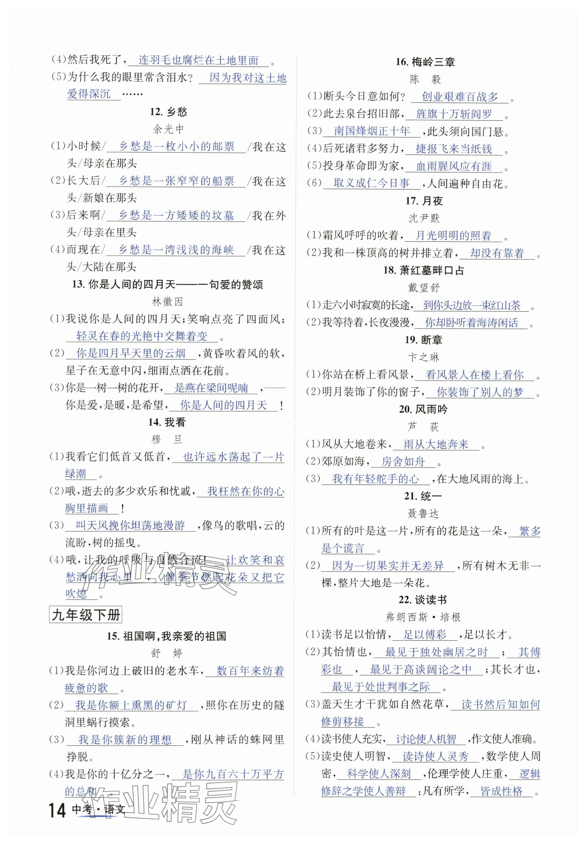 2024年國(guó)華圖書中考拐點(diǎn)語文南充專版 參考答案第14頁