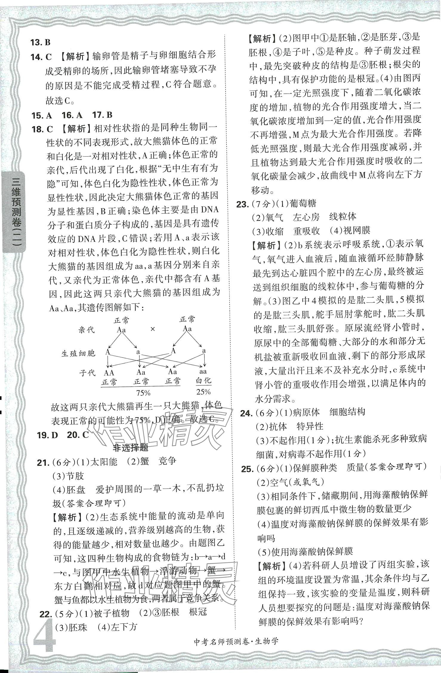 2024年王朝霞中考名师预测卷生物河南专版 第4页