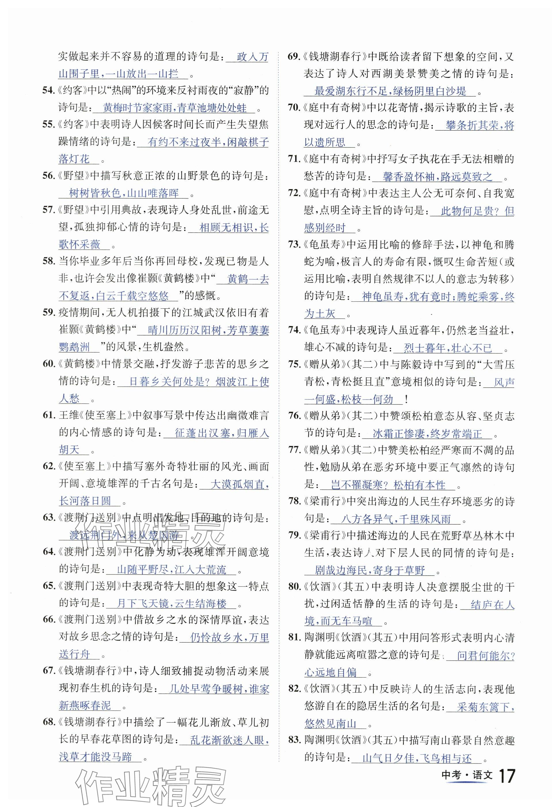 2024年國華圖書中考拐點(diǎn)語文南充專版 參考答案第17頁