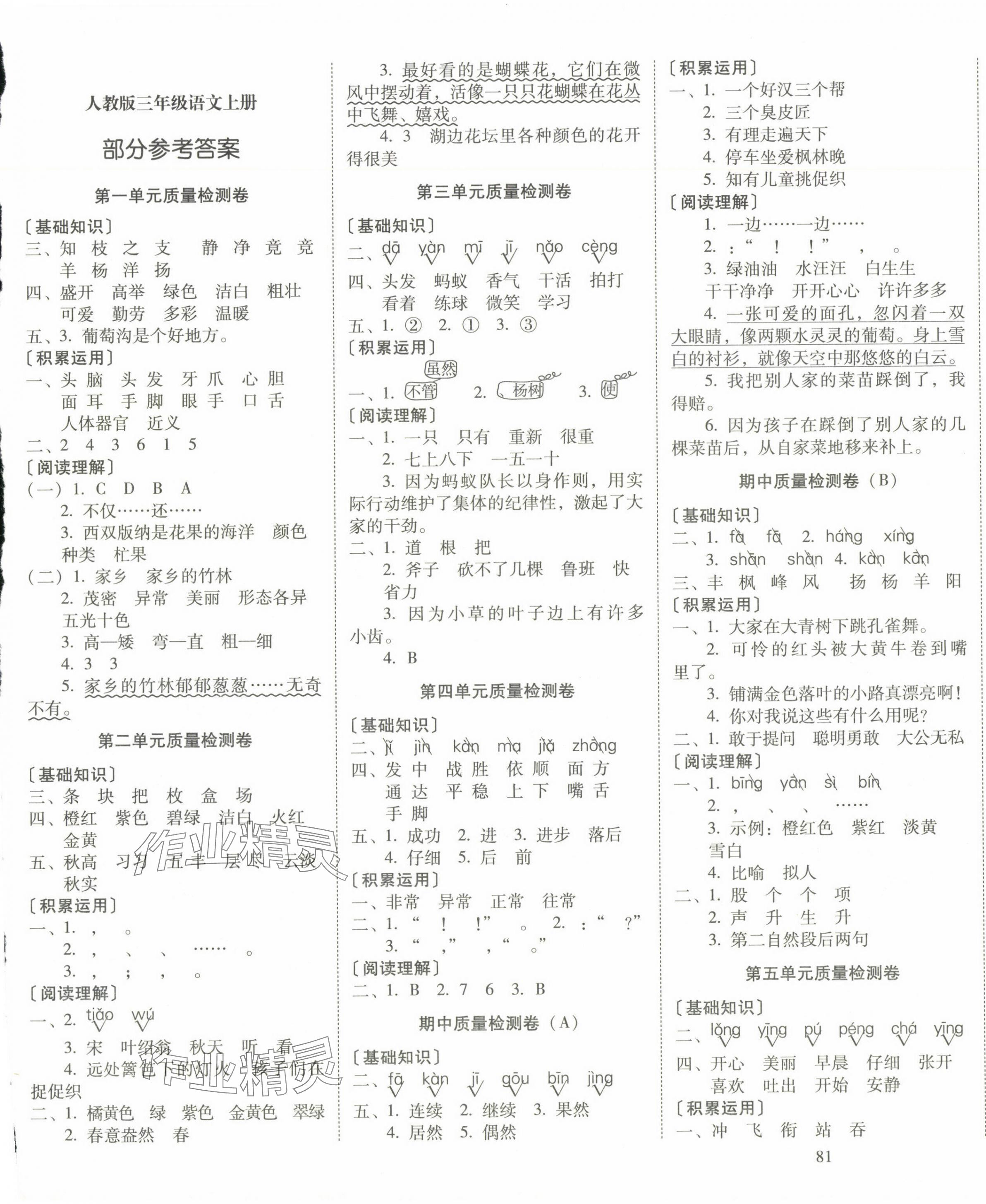 2024年云南师大附小一线名师核心试卷三年级语文上册人教版 第1页