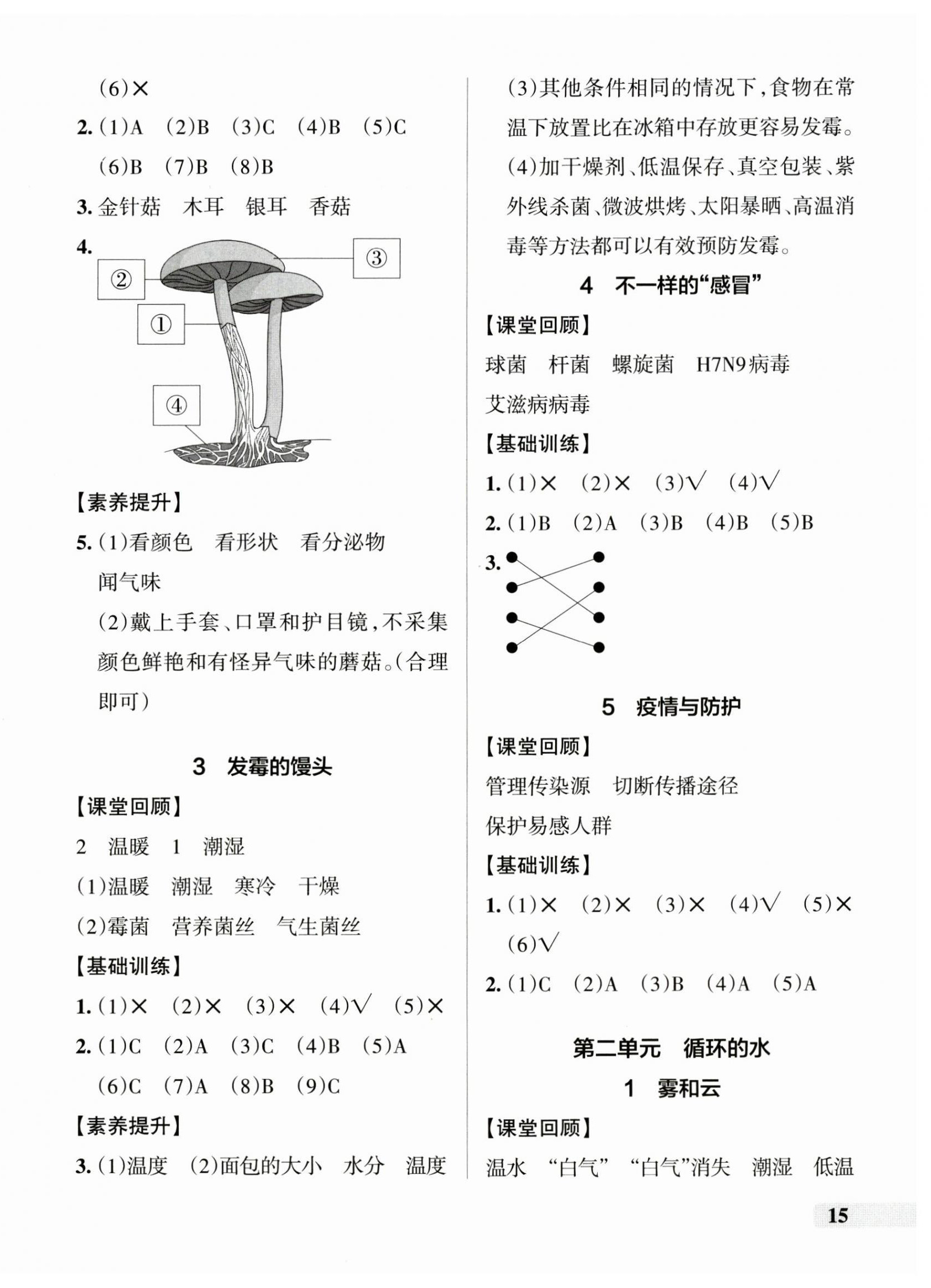 2024年小學(xué)學(xué)霸作業(yè)本六年級(jí)科學(xué)上冊(cè)大象版河南專(zhuān)版 參考答案第2頁(yè)