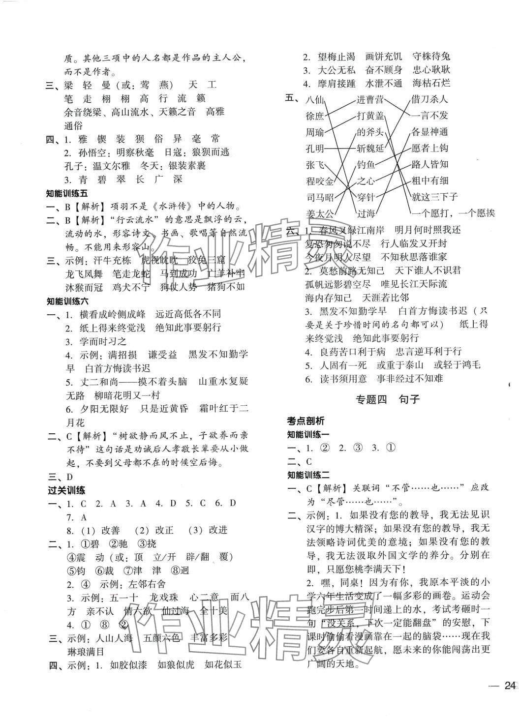 2024年小升初名师帮你总复习语文 第3页