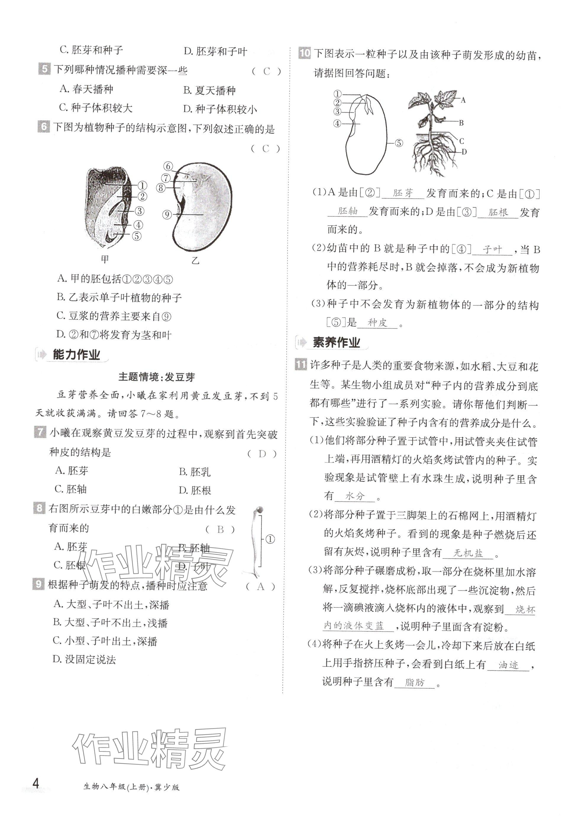 2024年金太阳导学案八年级生物上册冀少版 参考答案第4页