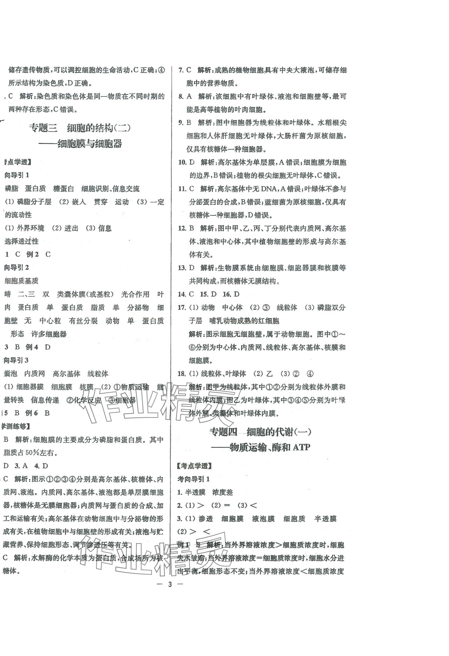 2024年高考总复习南方凤凰台高中生物 第3页