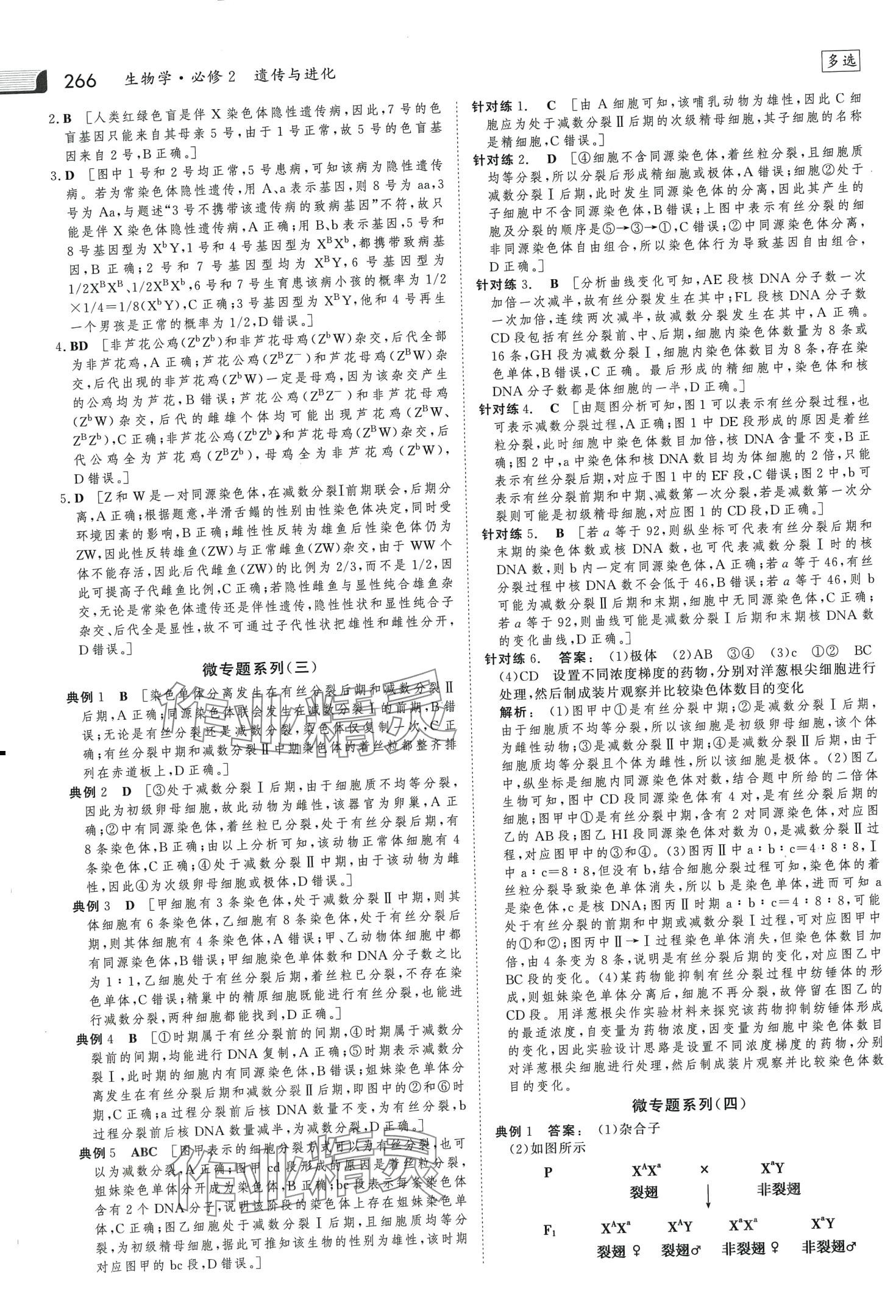 2024年金版新学案高中生物必修2人教版 第13页