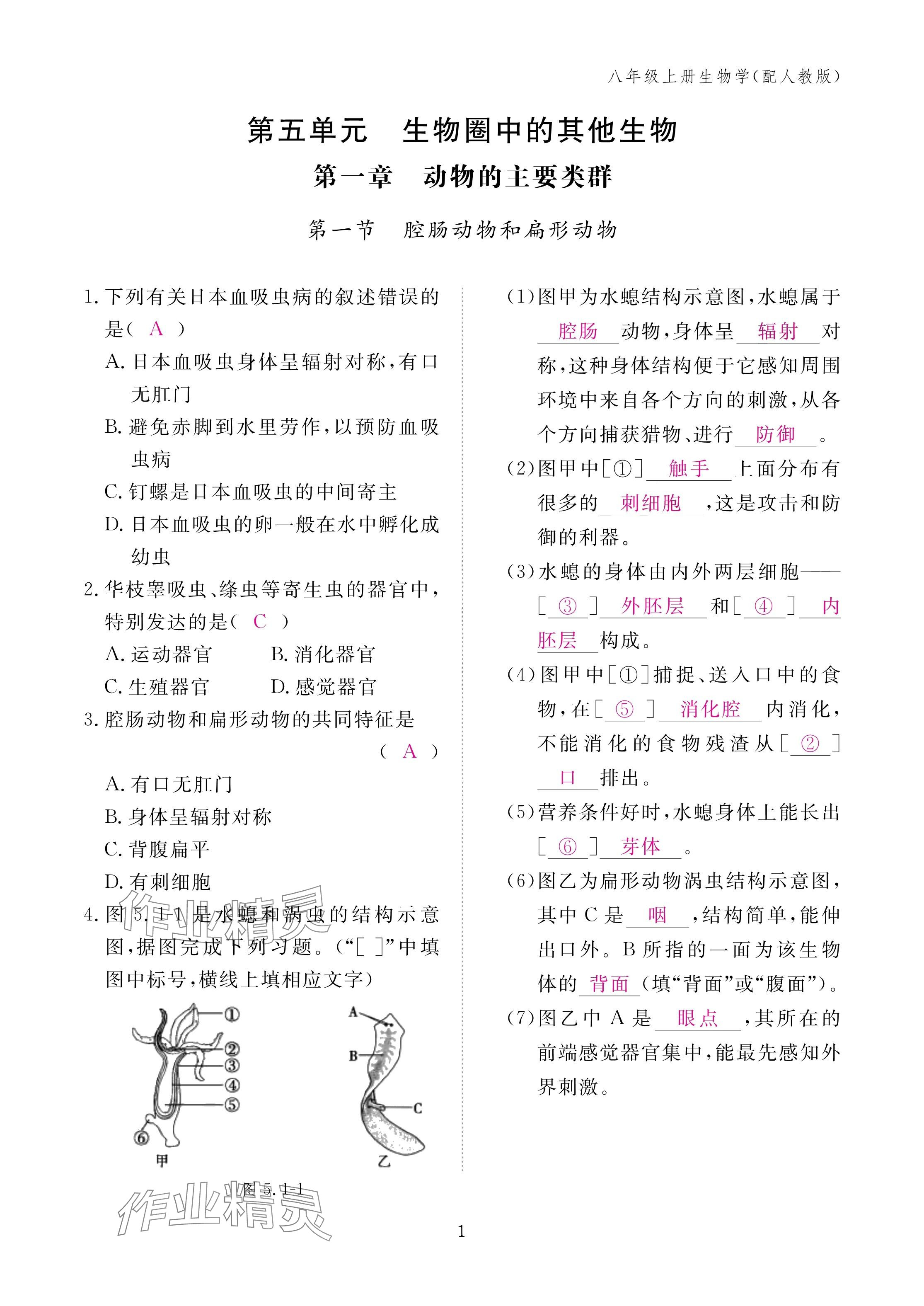 2024年作業(yè)本江西教育出版社八年級(jí)生物上冊(cè)人教版 第1頁(yè)