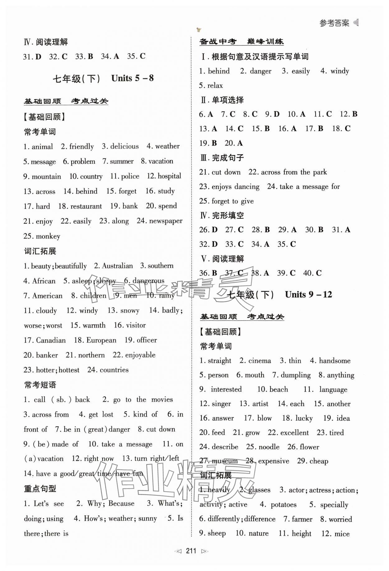 2024年初中总复习手册新世纪出版社英语 第3页