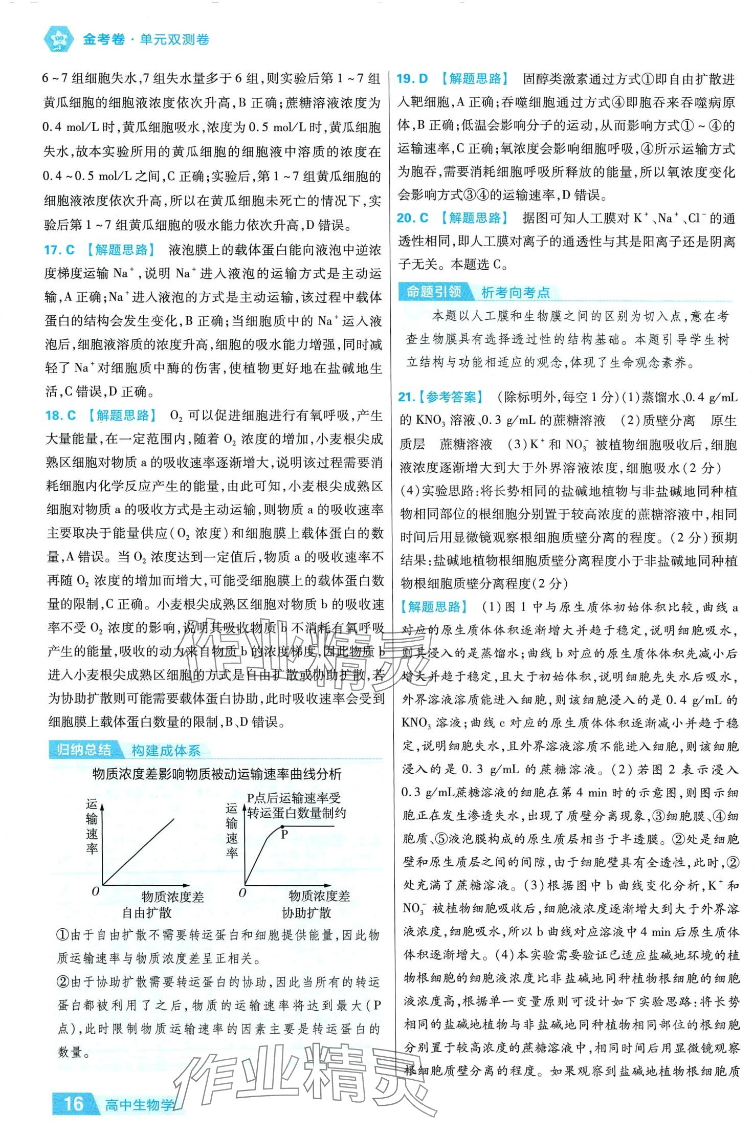 2024年金考卷活页题选高中生物必修1人教版 参考答案第16页