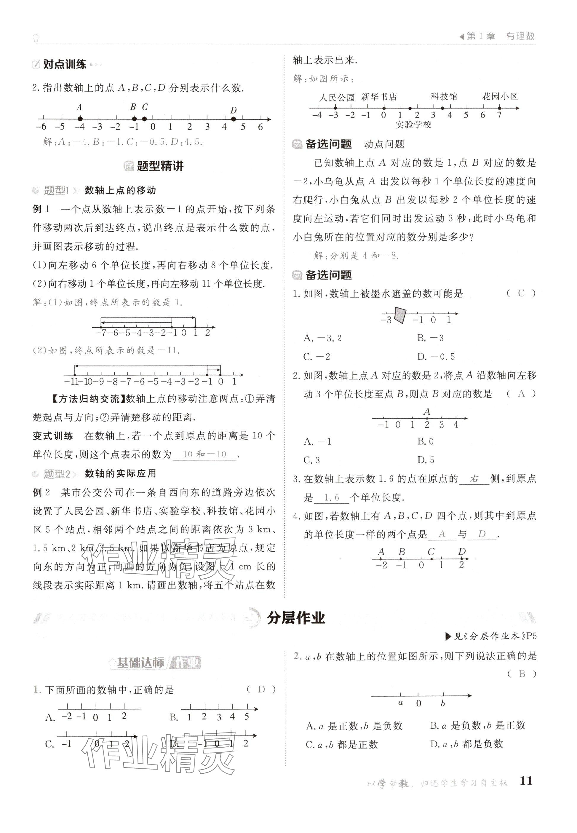 2024年金太陽導學案七年級數學上冊華師大版 參考答案第11頁