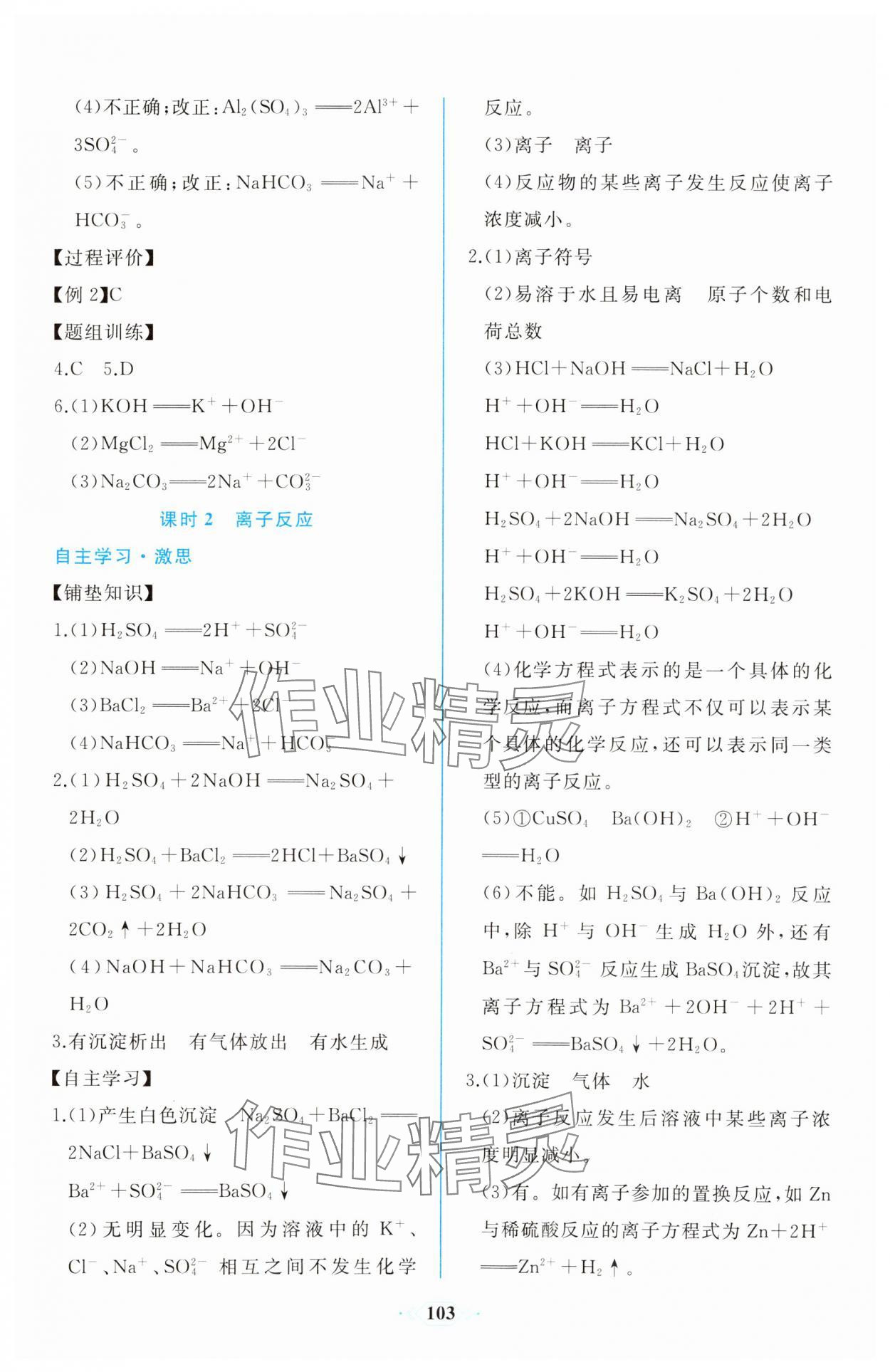 2023年新课程学习评价方案课时练高中化学必修第一册人教版 第5页