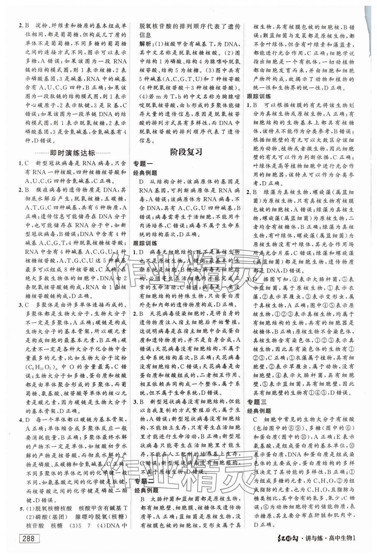 2023年红对勾讲与练高中生物必修1分子与细胞人教版 参考答案第10页