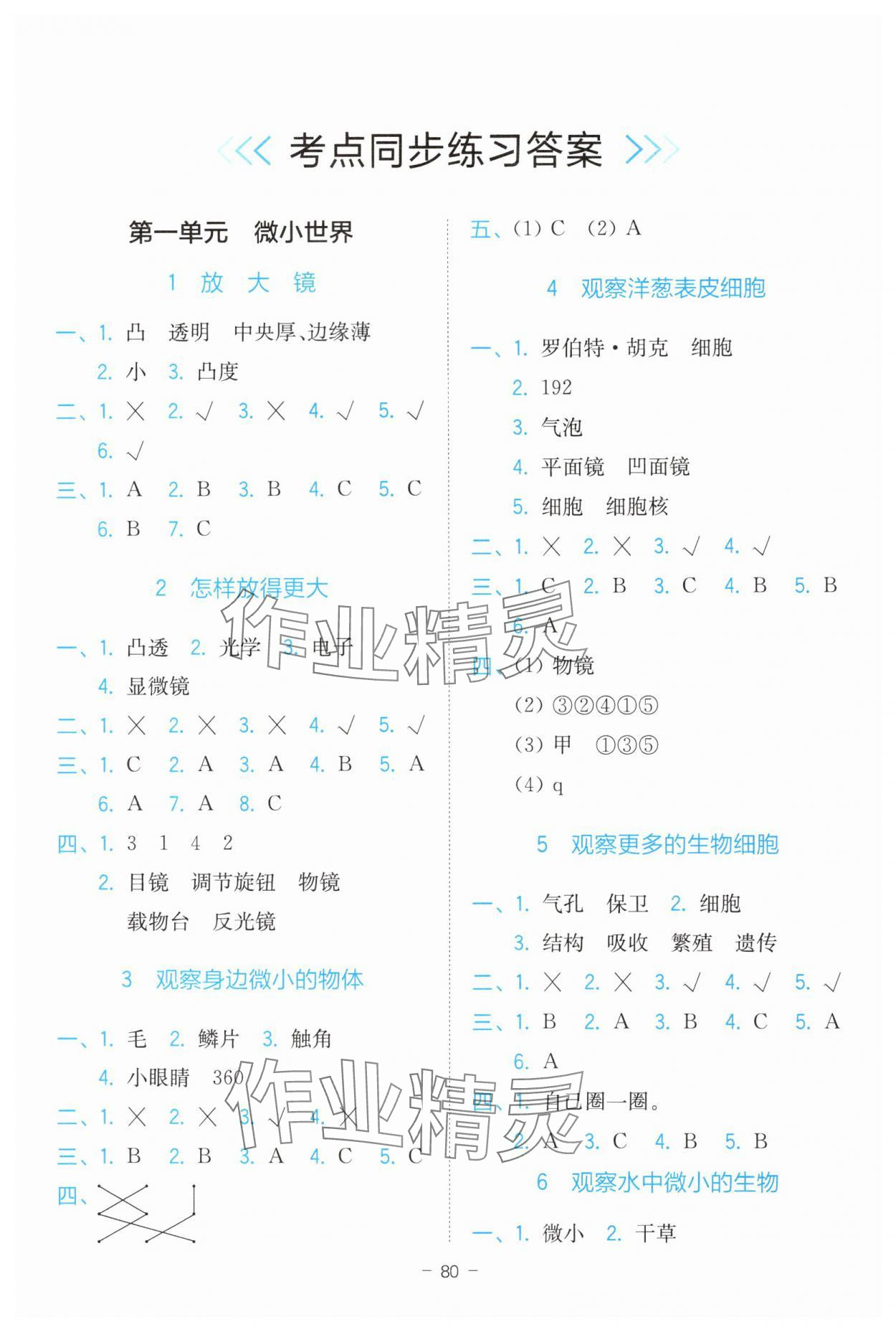 2024年全易通六年級科學(xué)上冊教科版浙江專版 參考答案第1頁