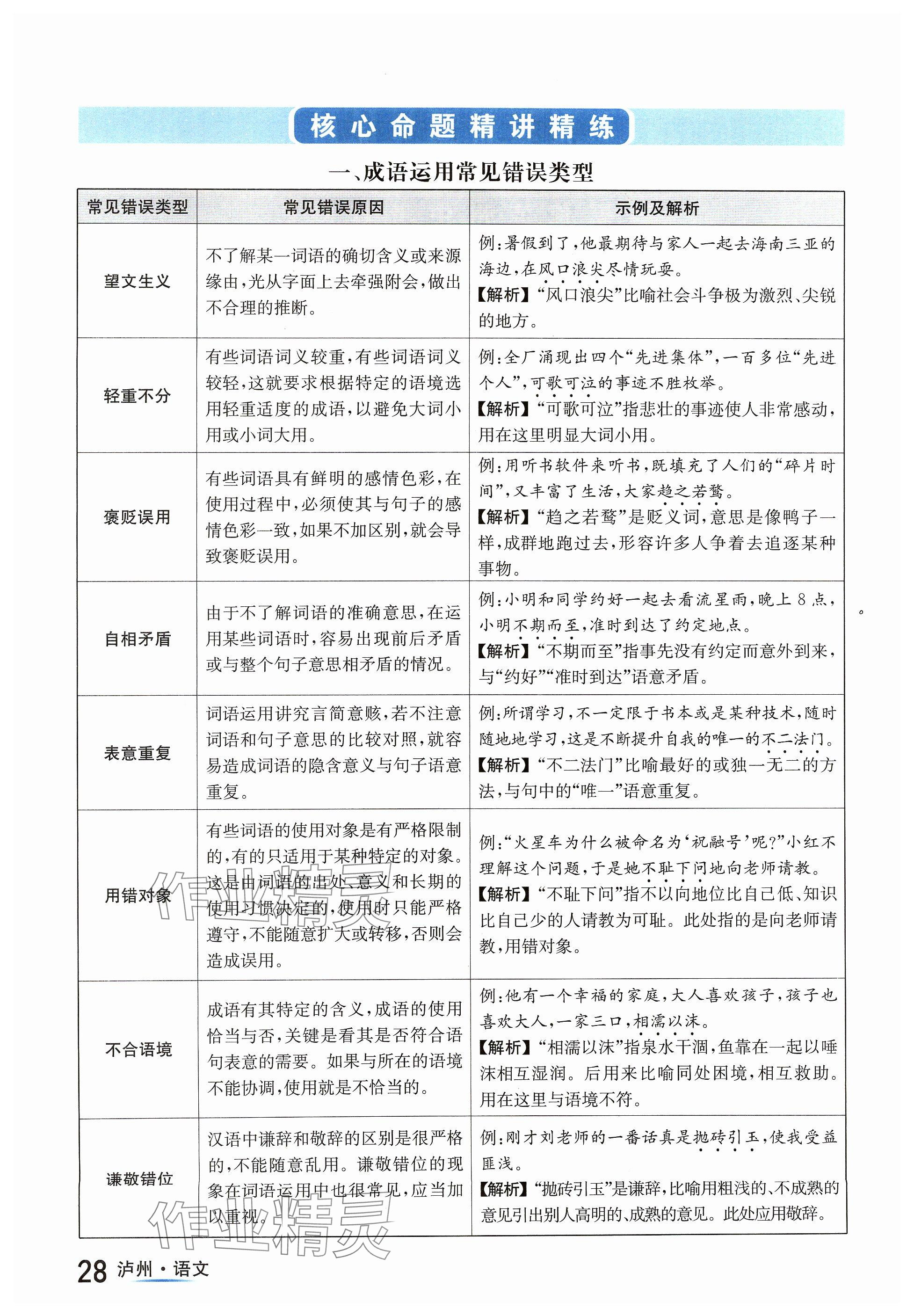 2024年国华考试中考总动员语文泸州专版 参考答案第28页