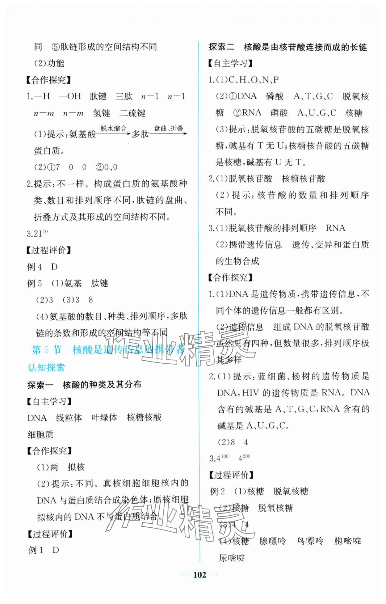 2023年课时练新课程学习评价方案生物必修1分子与细胞增强版 第8页