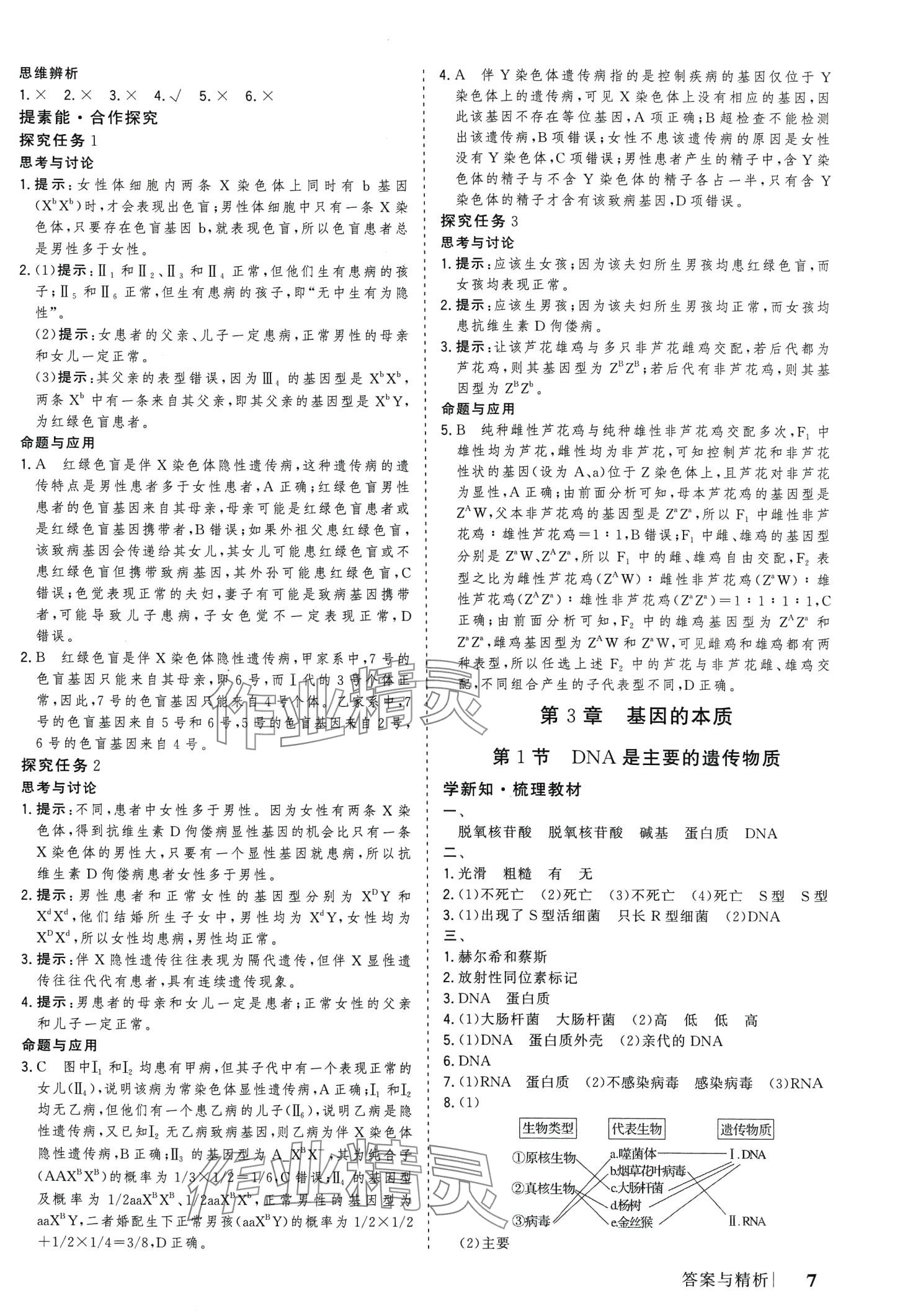 2024年高考领航高中生物必修2人教版 第7页