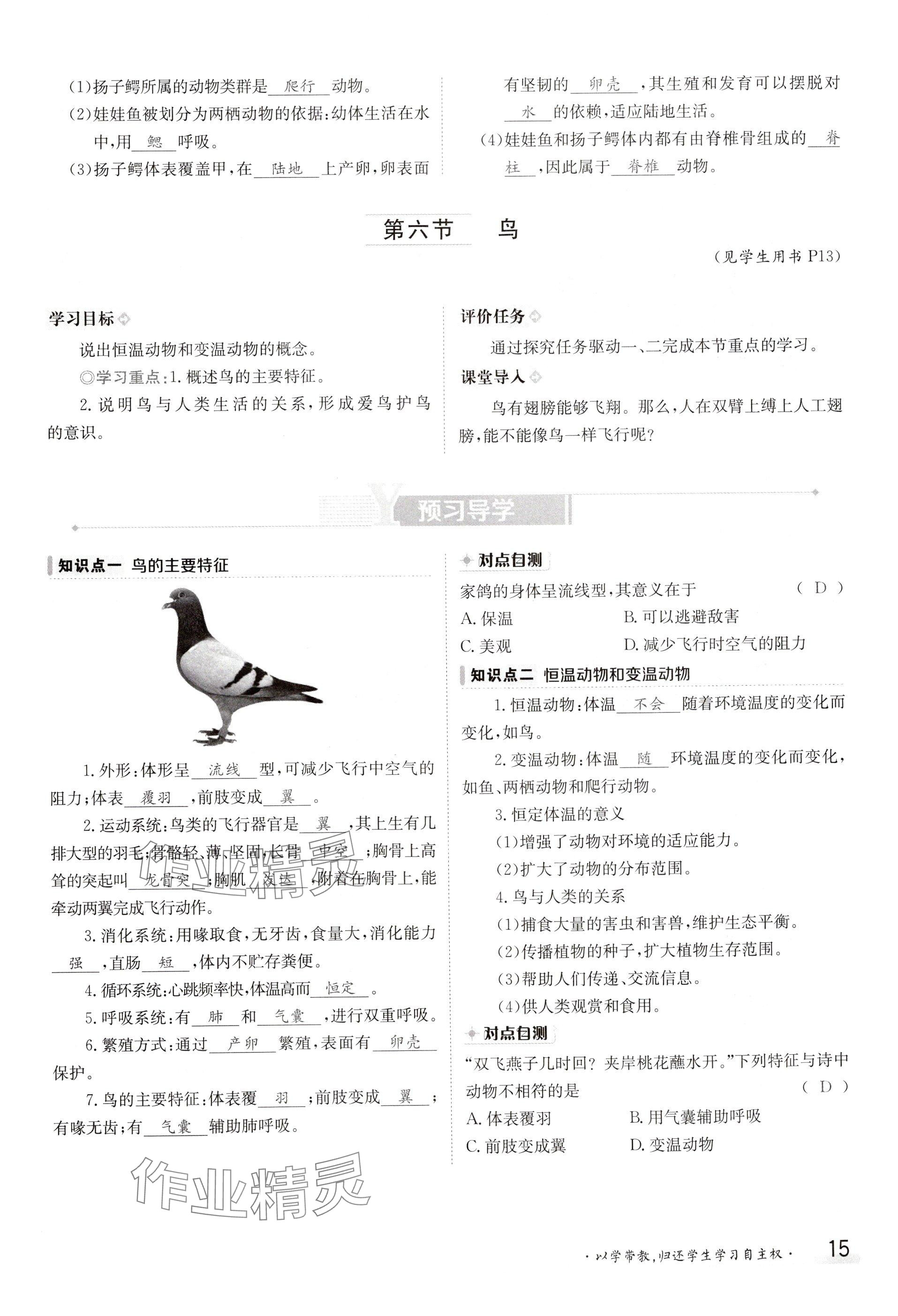 2024年金太陽導(dǎo)學(xué)案八年級生物上冊人教版 參考答案第15頁