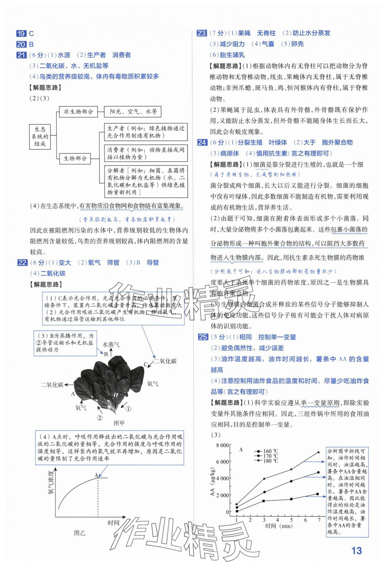 2024年金考卷45套匯編生物河南專版 第13頁