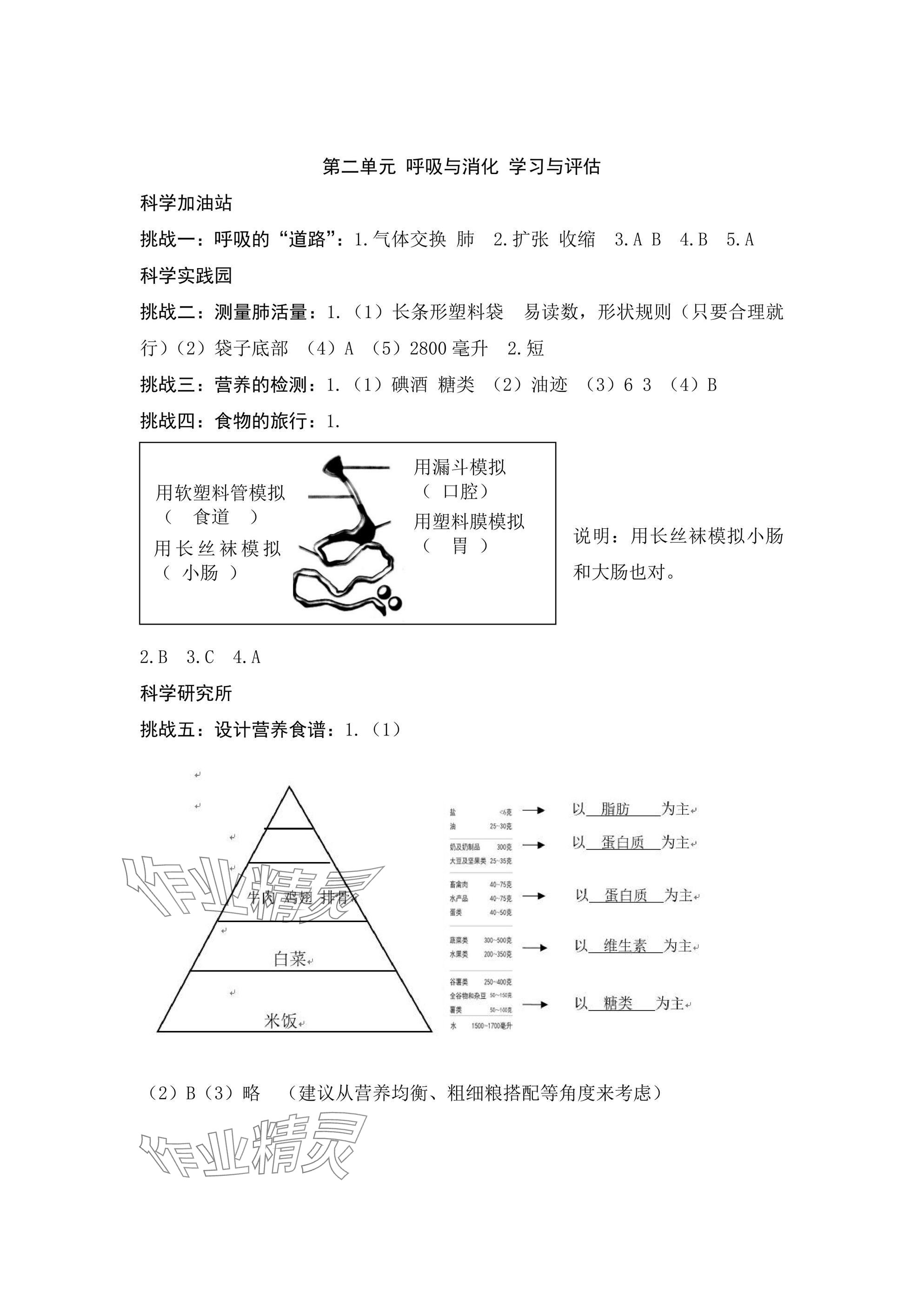 2024年綜合學(xué)習(xí)與評(píng)估四年級(jí)科學(xué)上冊(cè)教科版 參考答案第2頁(yè)