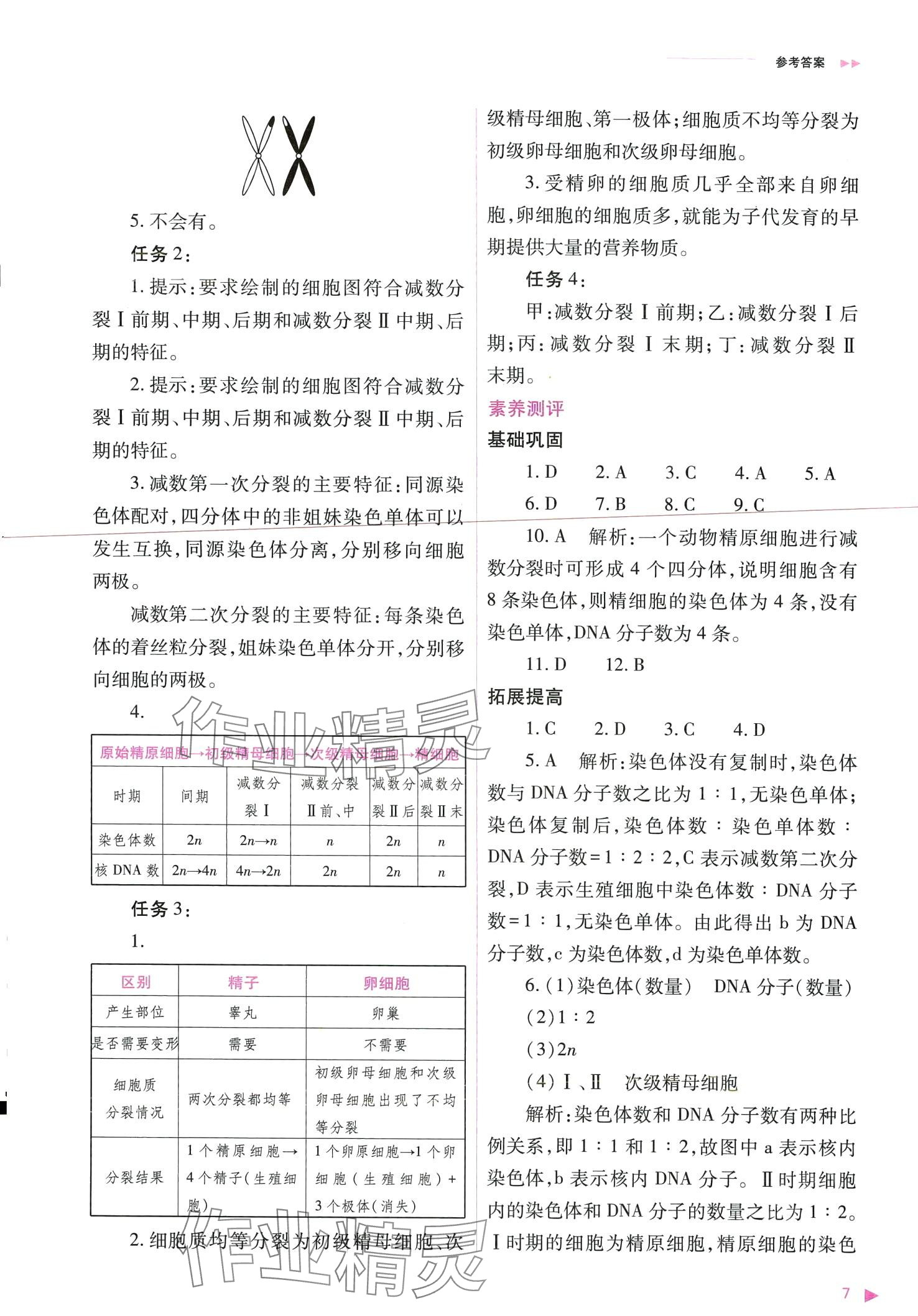 2024年普通高中新課程同步練習冊高中生物必修2人教版 第7頁