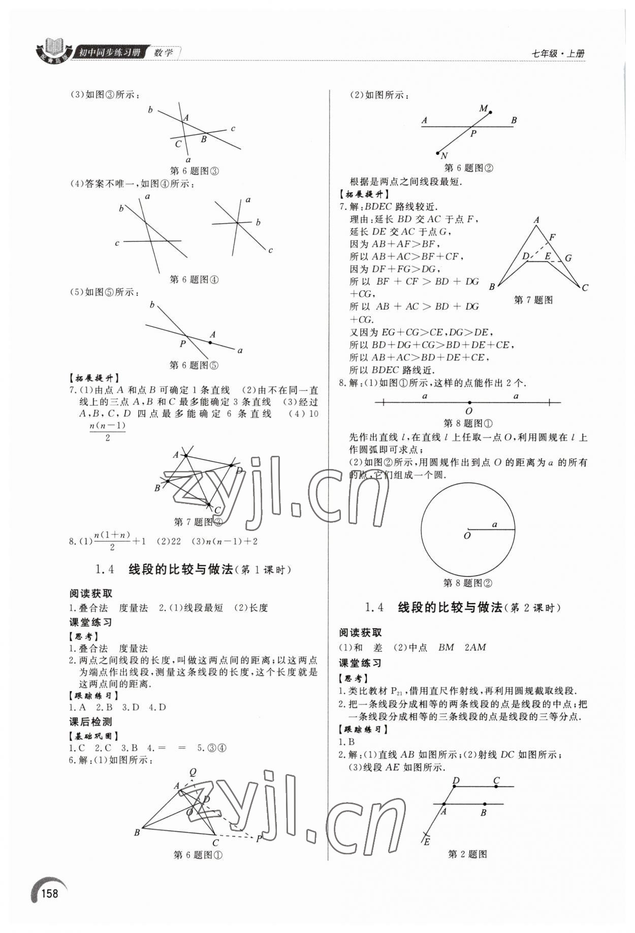 2023年同步练习册泰山出版社七年级数学上册青岛版 参考答案第3页