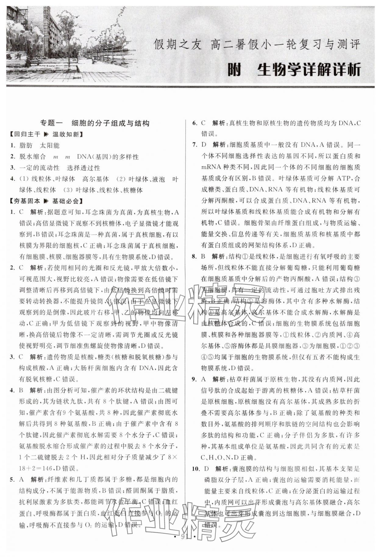 2024年假期之友東南大學(xué)出版社高二生物 第1頁