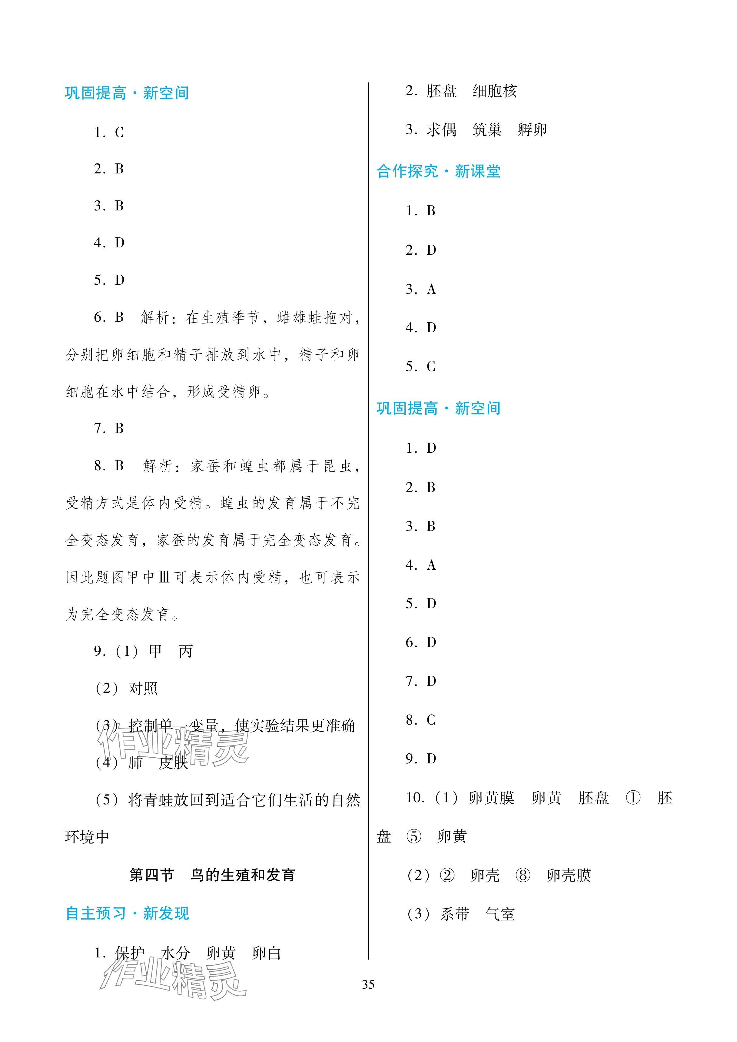 2024年南方新课堂金牌学案八年级生物下册人教版深圳专版 参考答案第3页