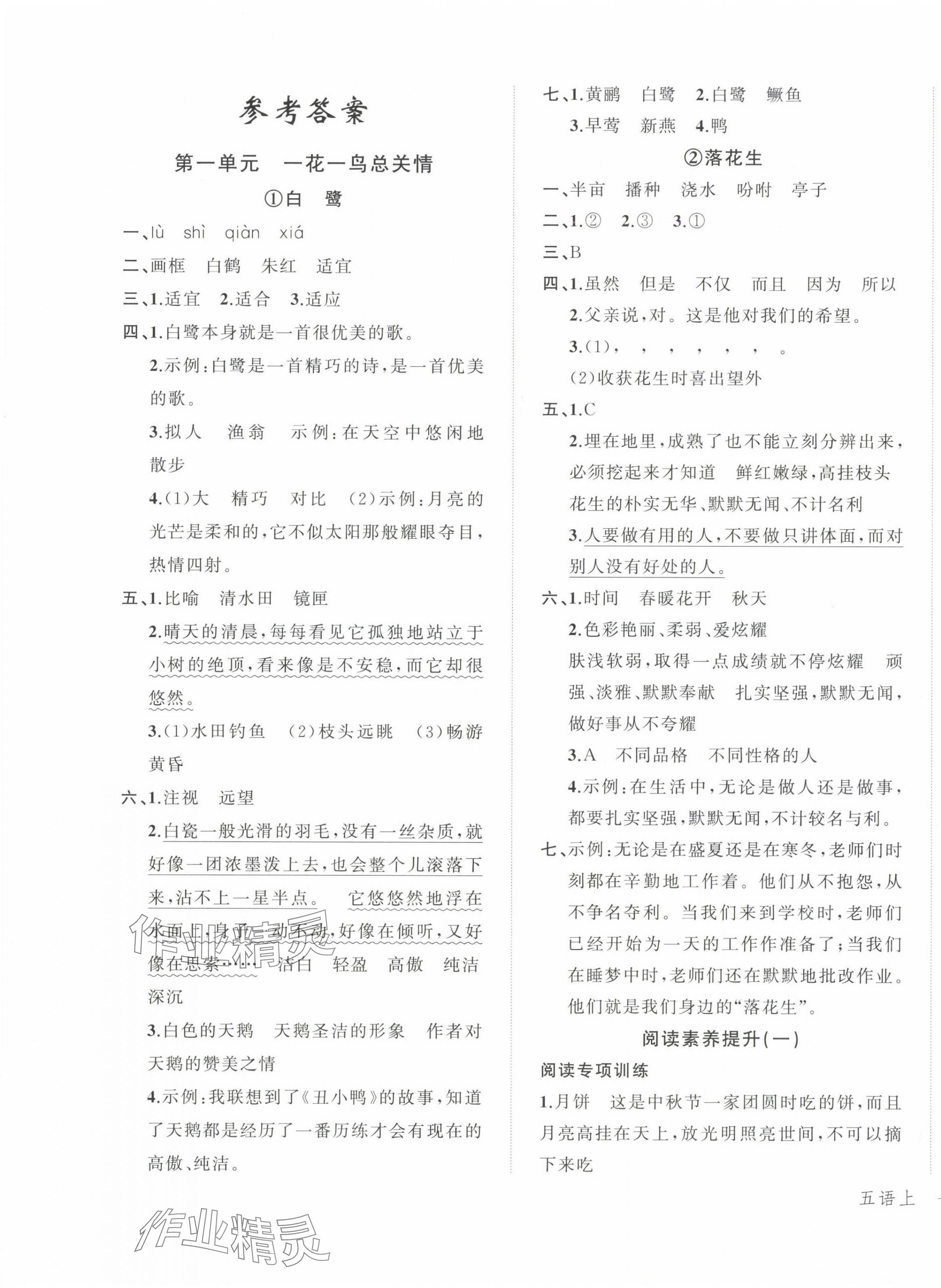 2024年名师面对面先学后练五年级语文上册人教版 参考答案第1页