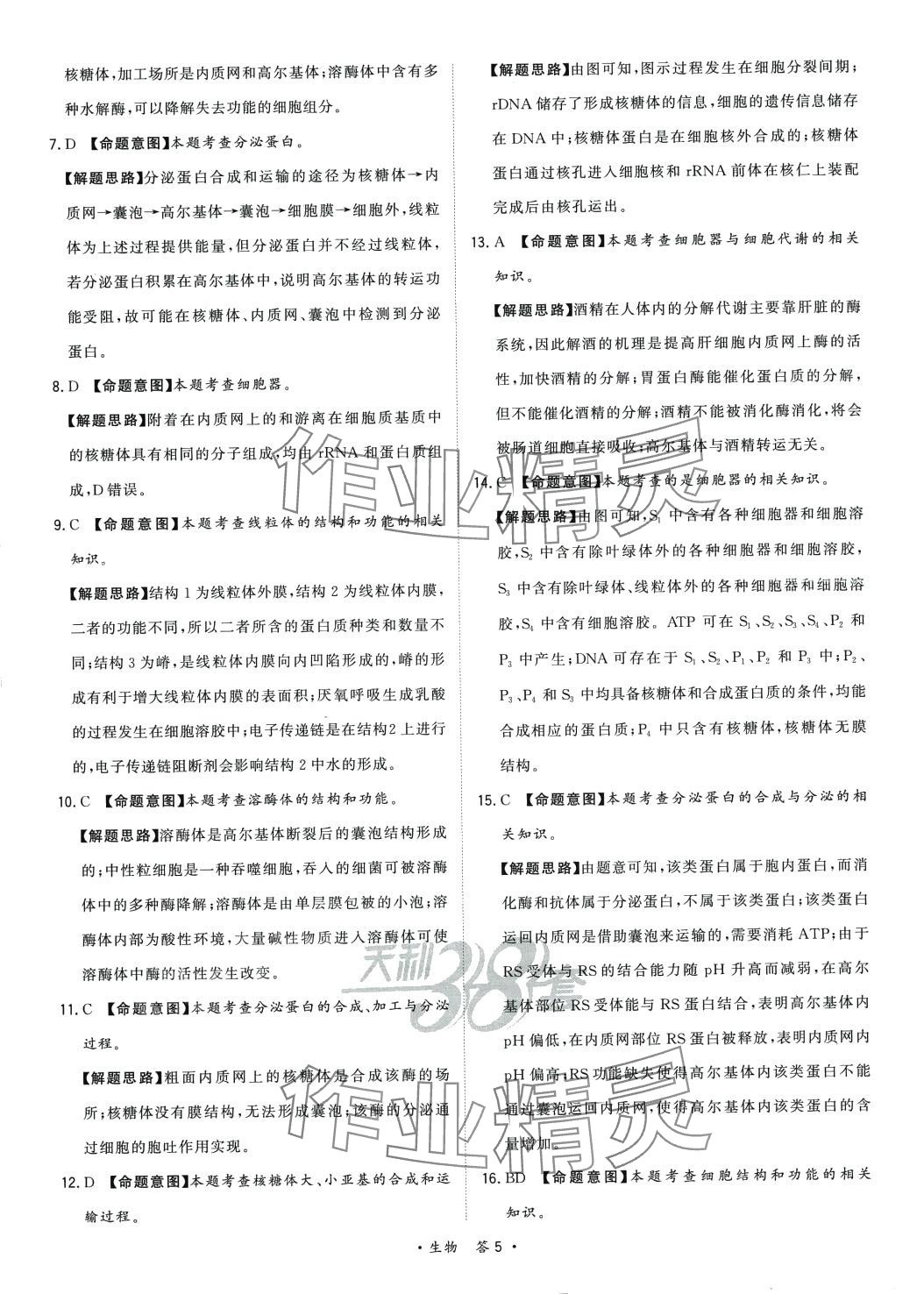 2024年天利38套對(duì)接高考單元專(zhuān)題訓(xùn)練高中生物 第5頁(yè)