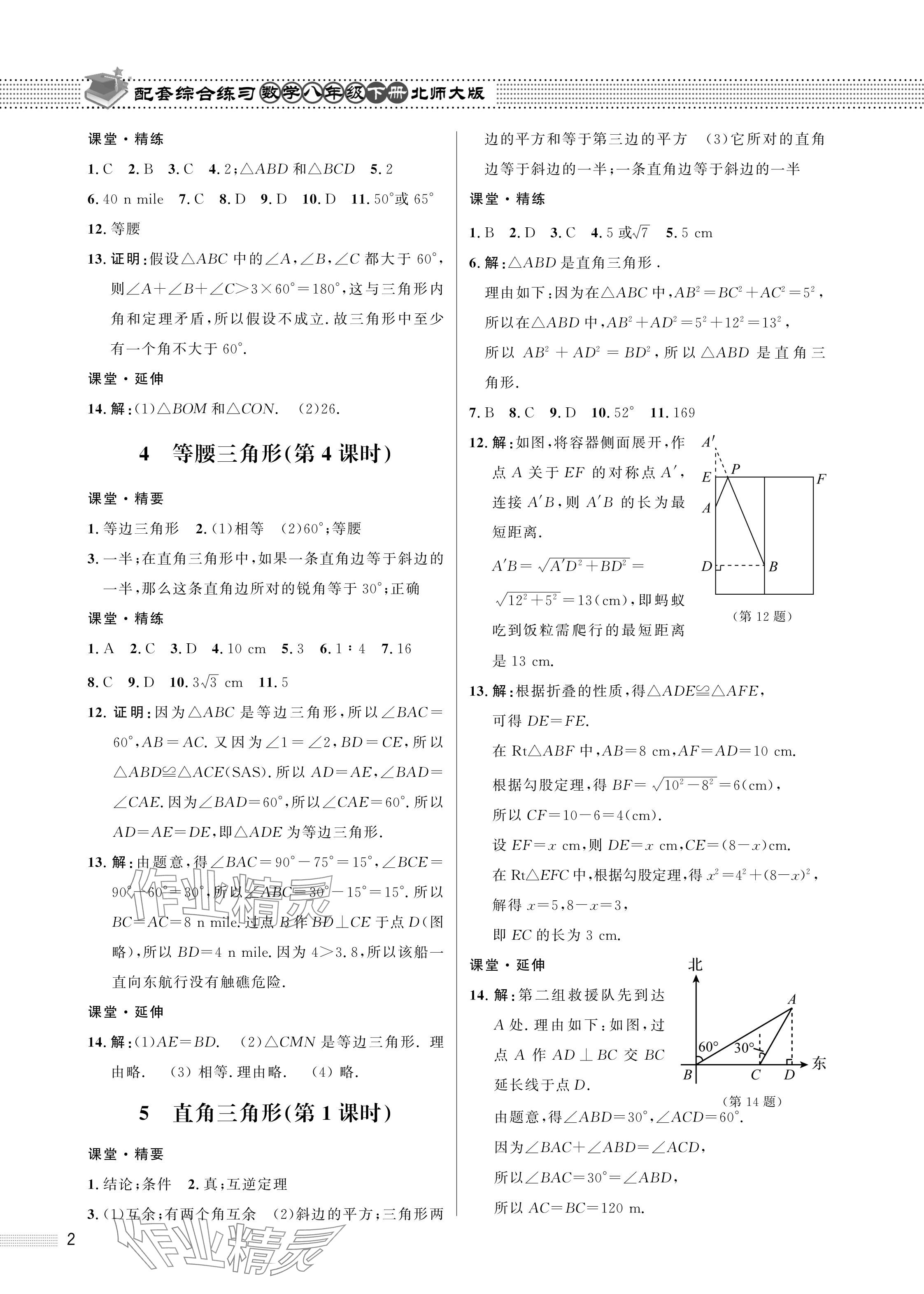 2024年配套综合练习甘肃八年级数学下册北师大版 参考答案第2页