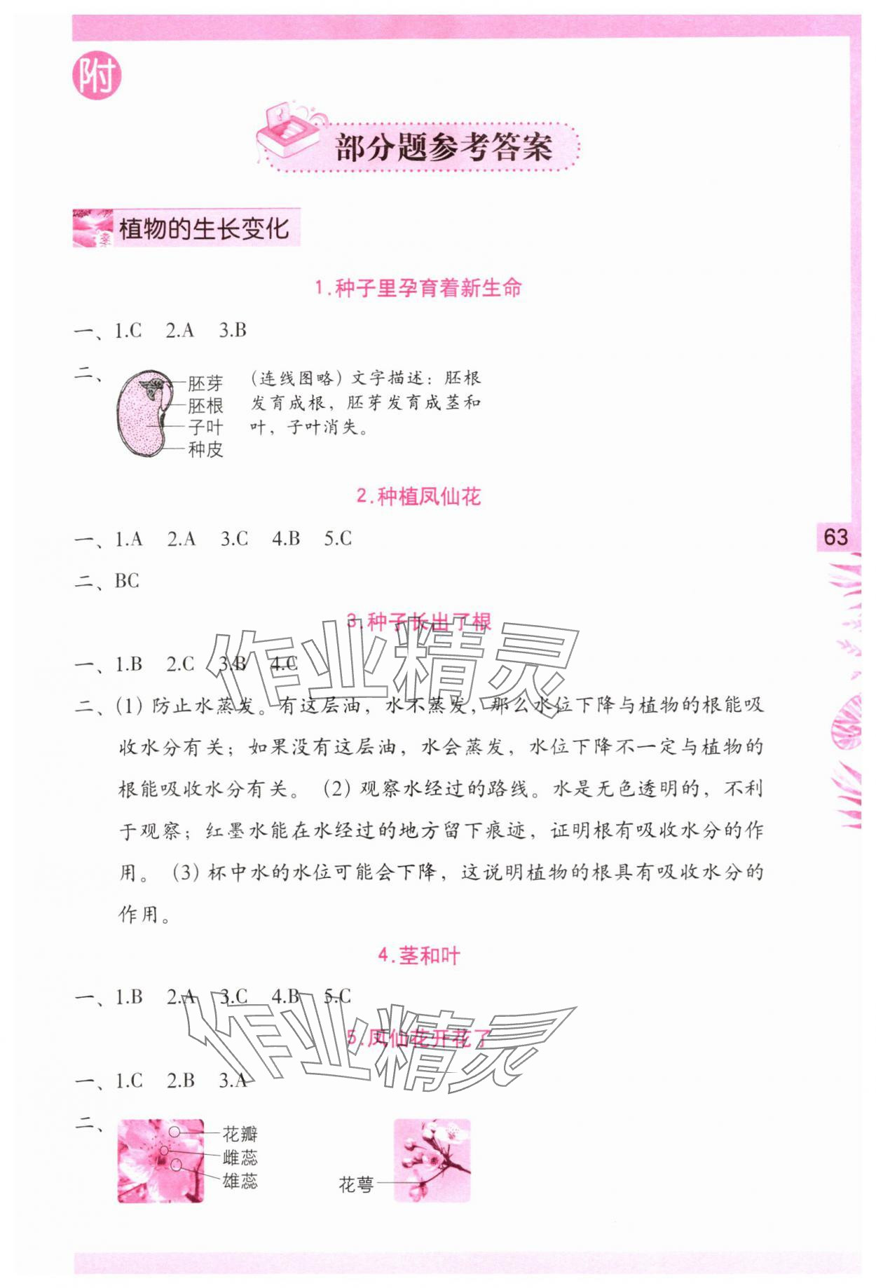 2024年學習與鞏固四年級科學下冊教科版 第1頁