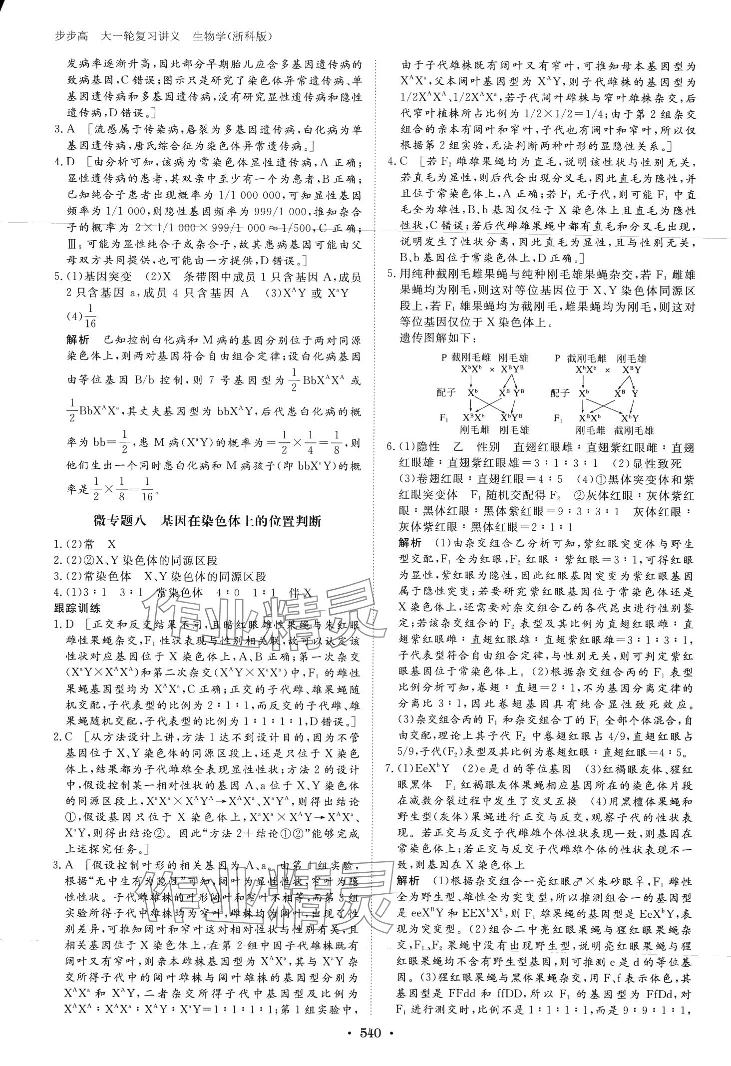 2024年步步高大一轮复习讲义高中生物浙科版 第30页
