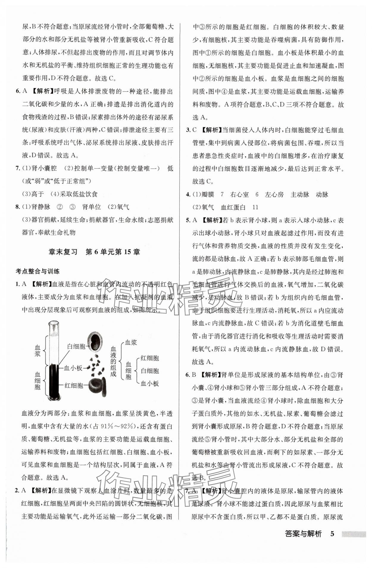 2024年启东中学作业本八年级生物全一册苏科版 参考答案第5页