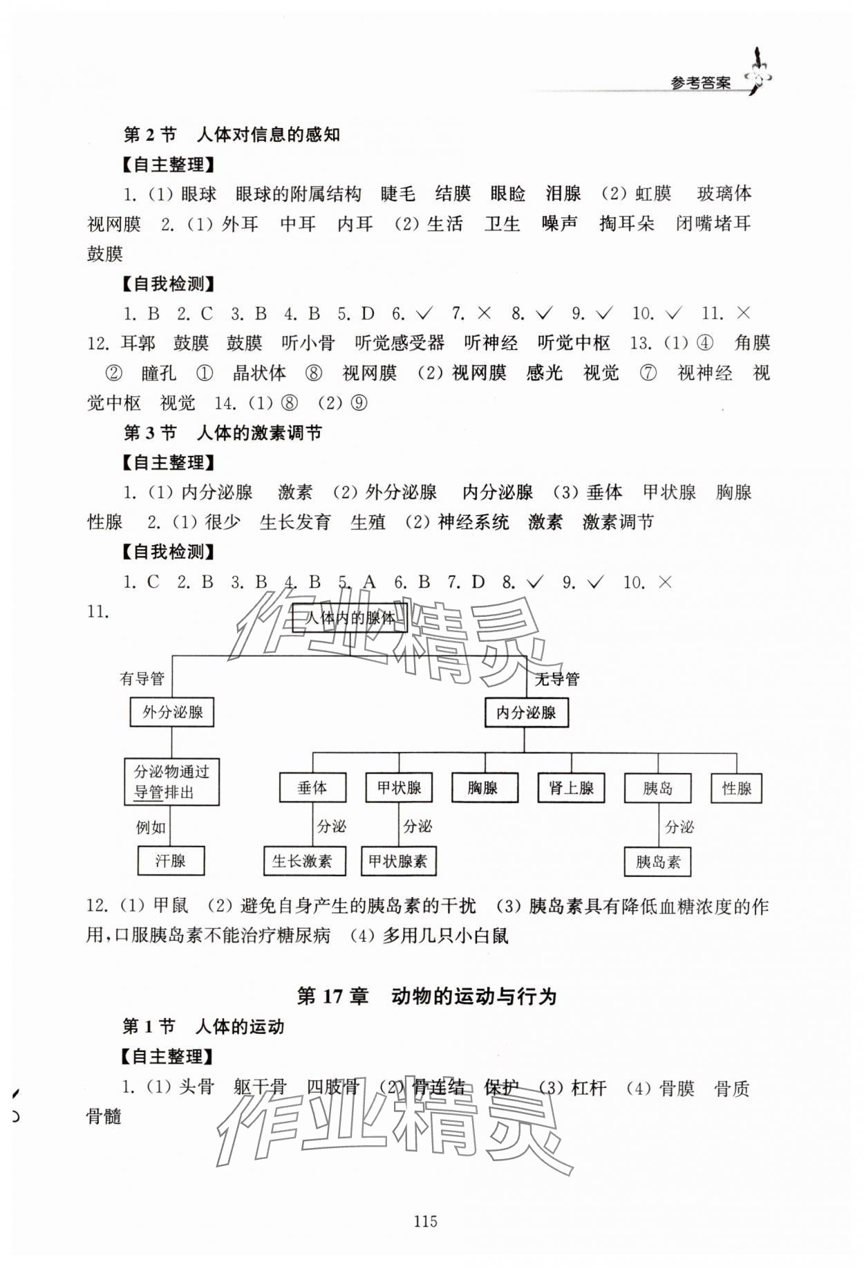 2024年學(xué)習(xí)與評(píng)價(jià)江蘇教育出版社八年級(jí)生物上冊(cè)蘇科版 第3頁(yè)