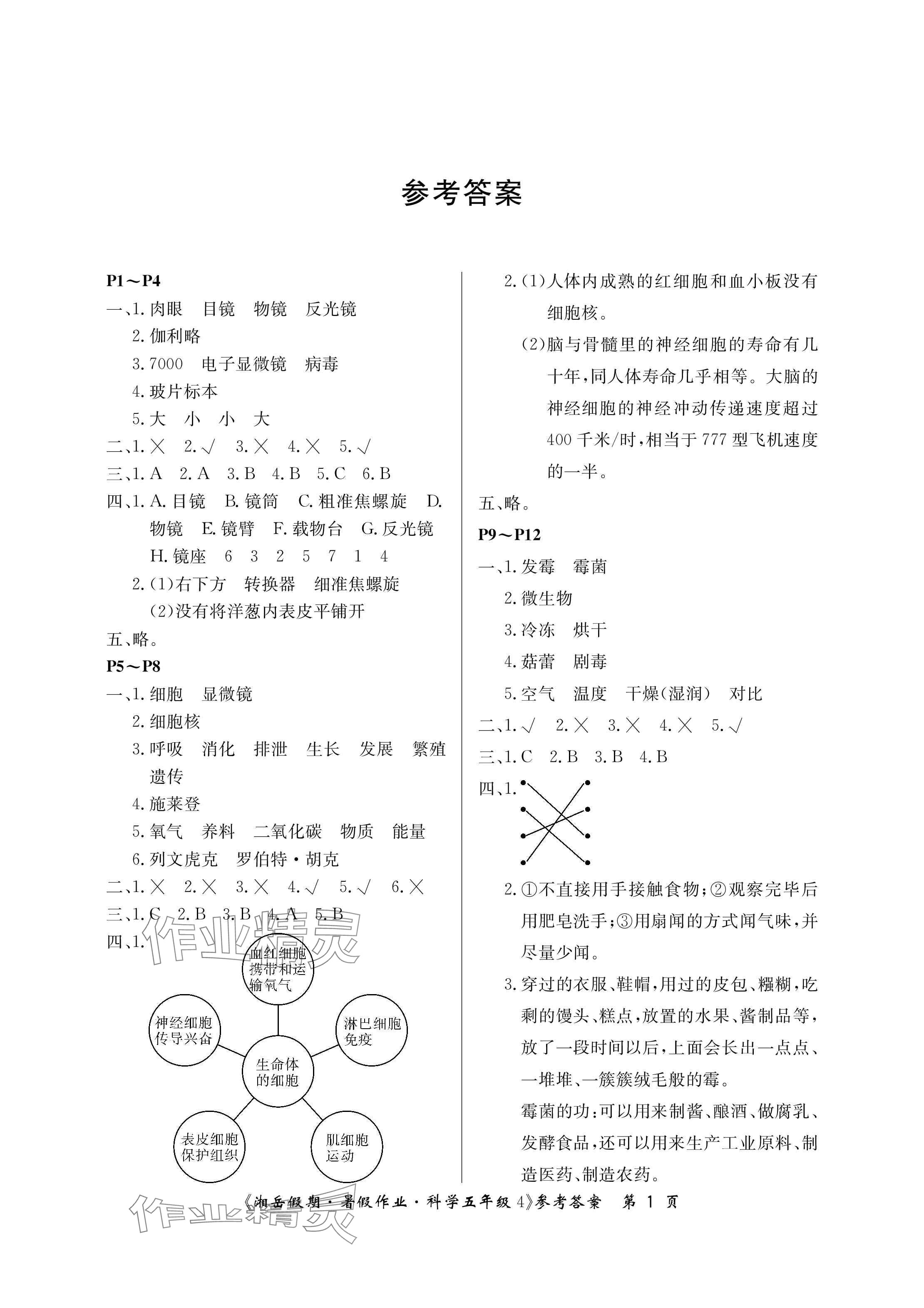 2024年湘岳假期暑假作業(yè)五年級科學(xué)湘科版第四版 參考答案第1頁