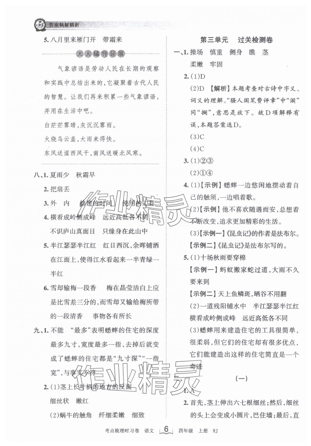 2024年王朝霞考点梳理时习卷四年级语文上册人教版 第6页
