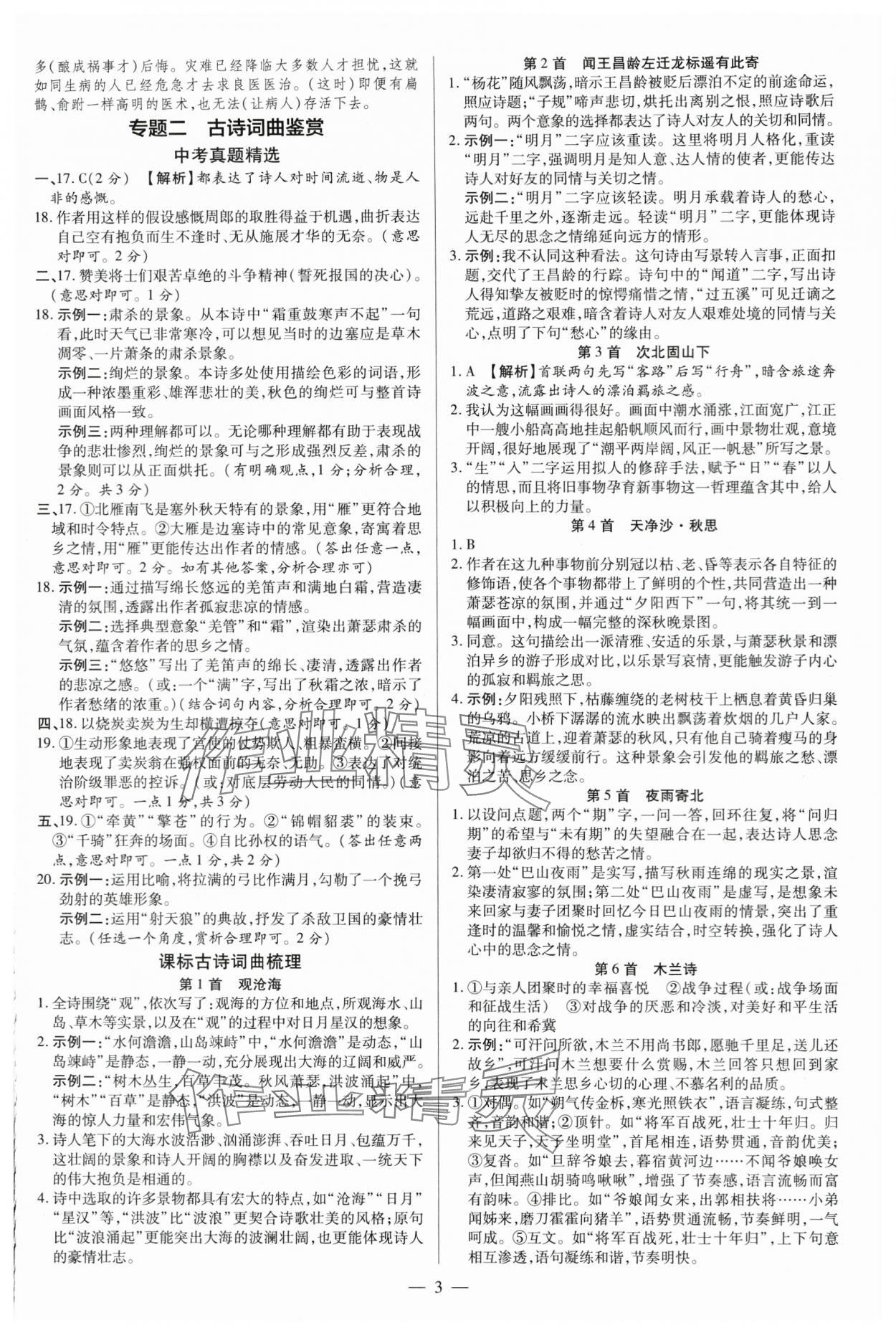 2024年领跑中考语文河南专版 第3页