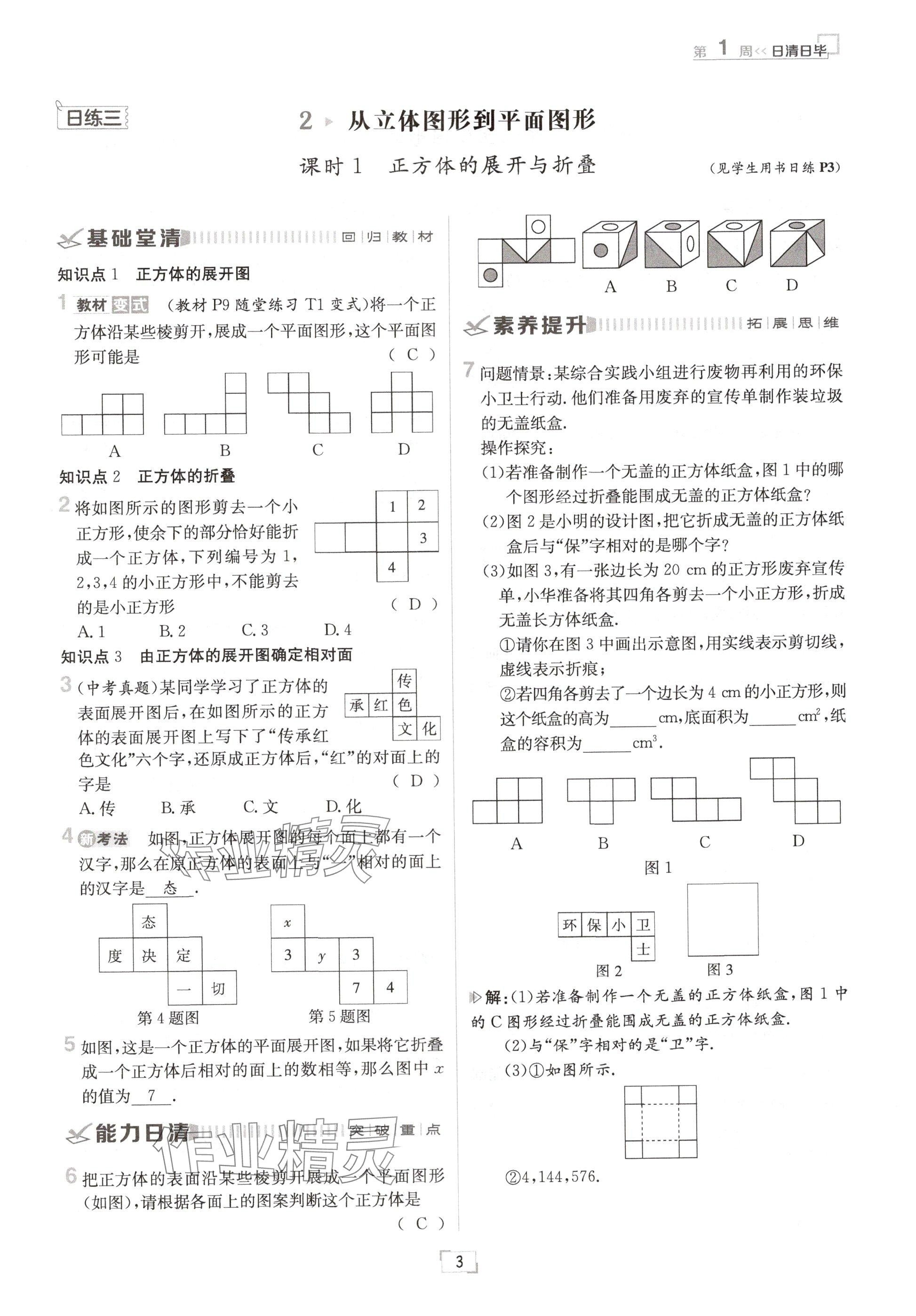 2024年日清周練七年級數(shù)學(xué)上冊北師大版 參考答案第3頁