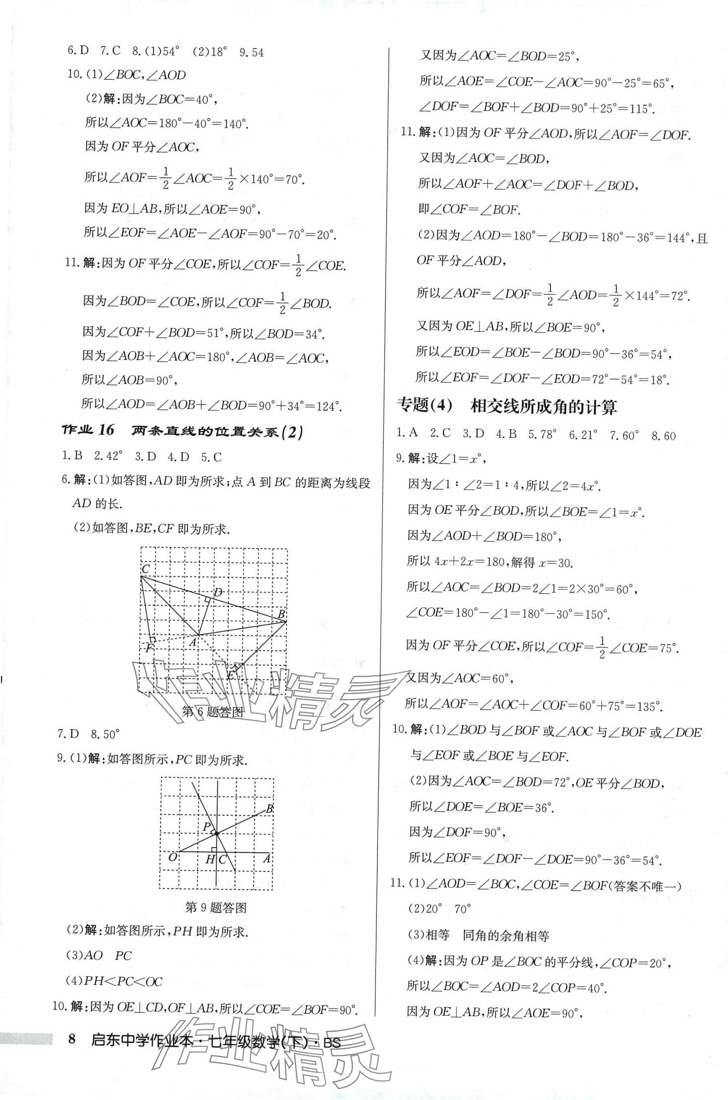 2024年启东中学作业本七年级数学下册北师大版 第8页