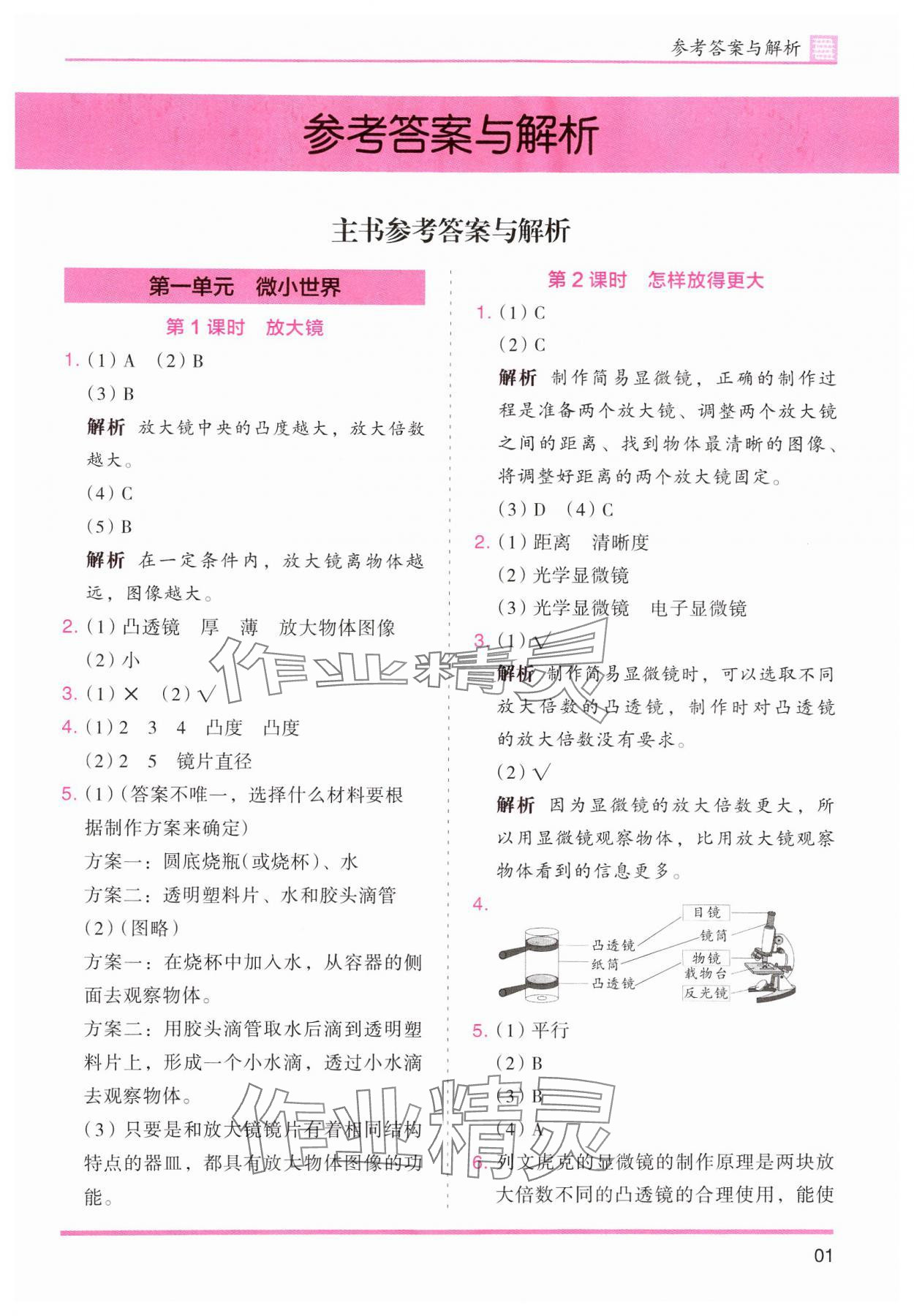 2024年木頭馬分層課課練六年級(jí)科學(xué)上冊(cè)教科版 第1頁