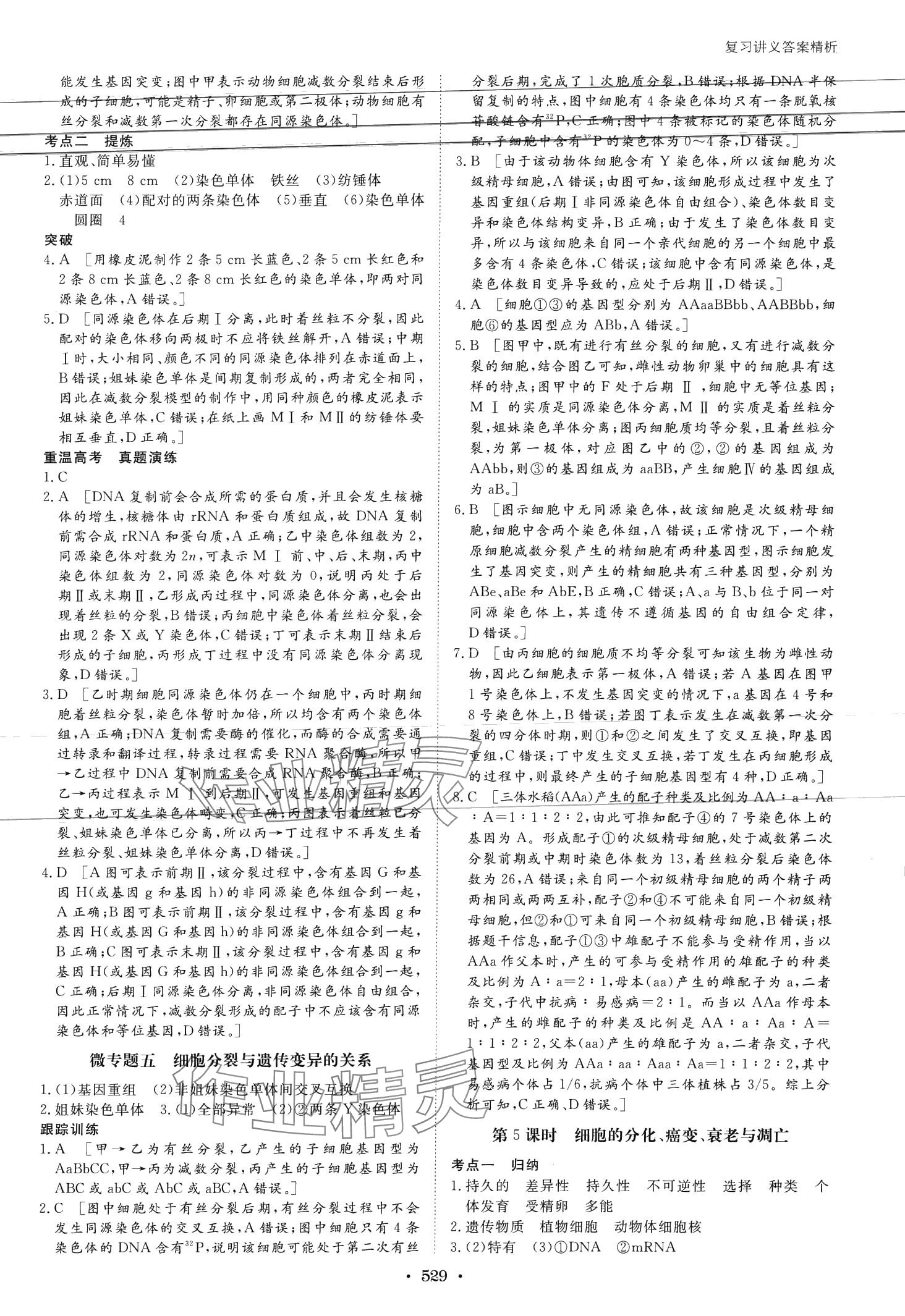 2024年步步高大一轮复习讲义高中生物浙科版 第19页